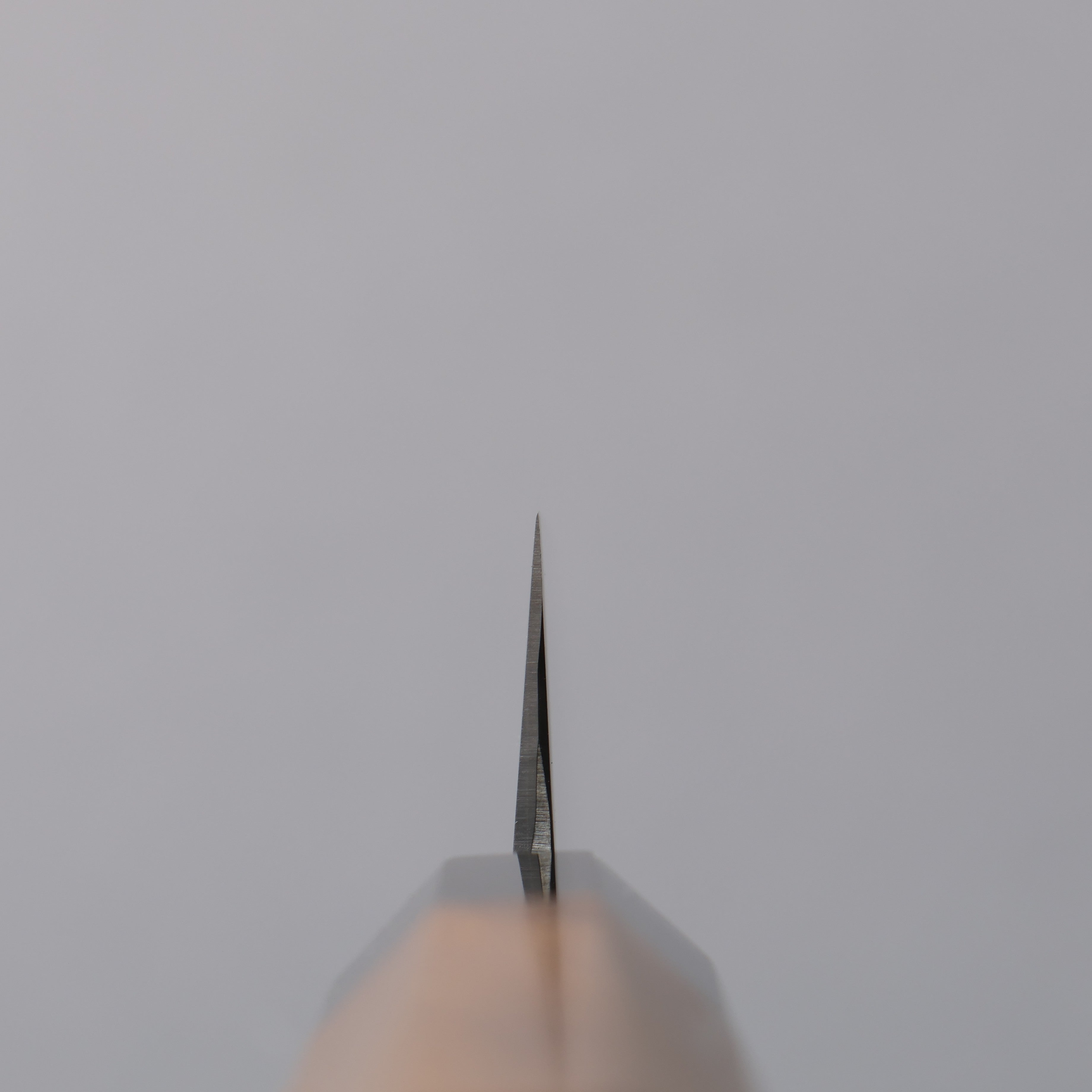 清助 SG2 多用途小刀 135mm 柚木 (口輪:黑水牛角) 握把 - 清助刃物