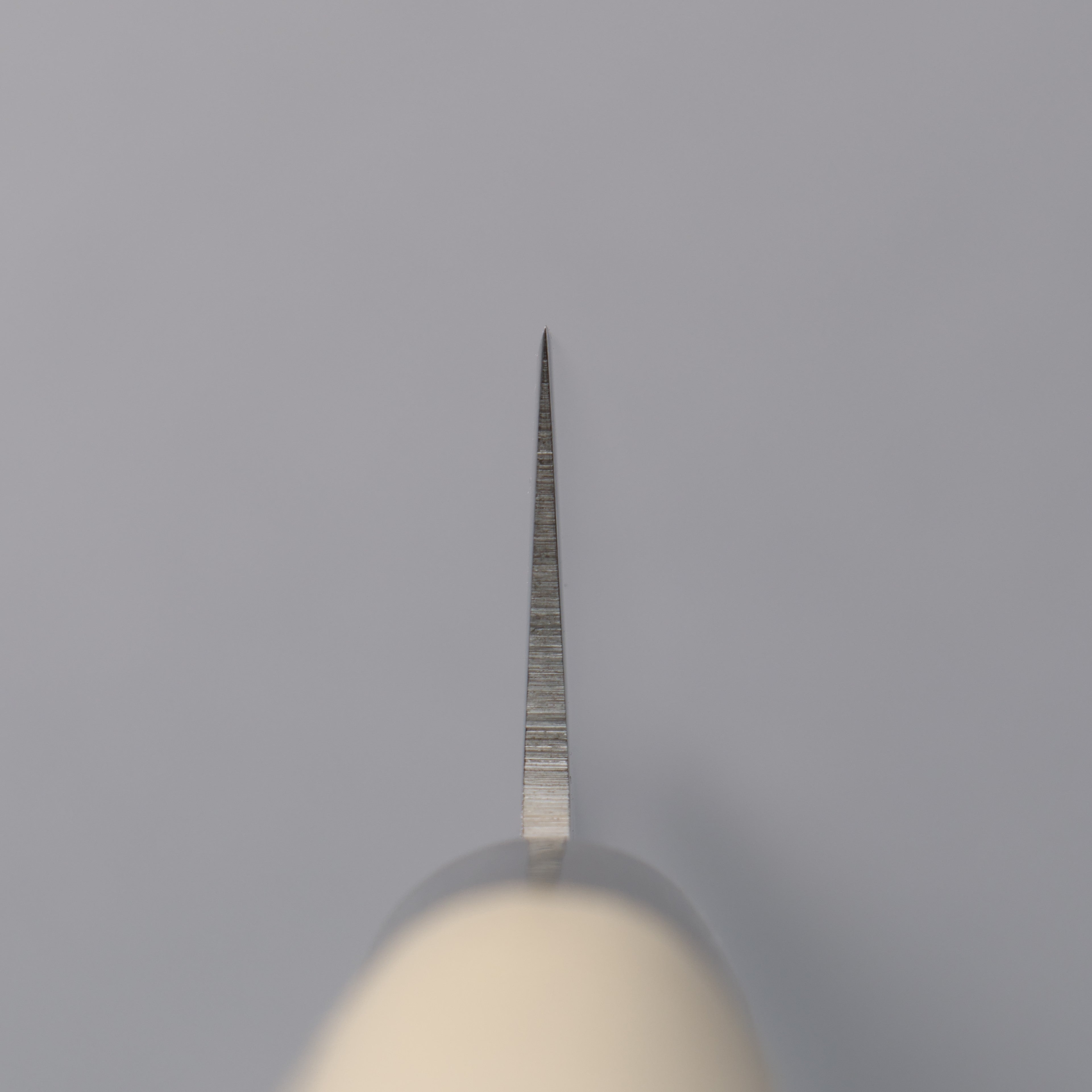 堺 孝行 INOX 鋼 筋引 240mm 木蘭握把 - 清助刃物