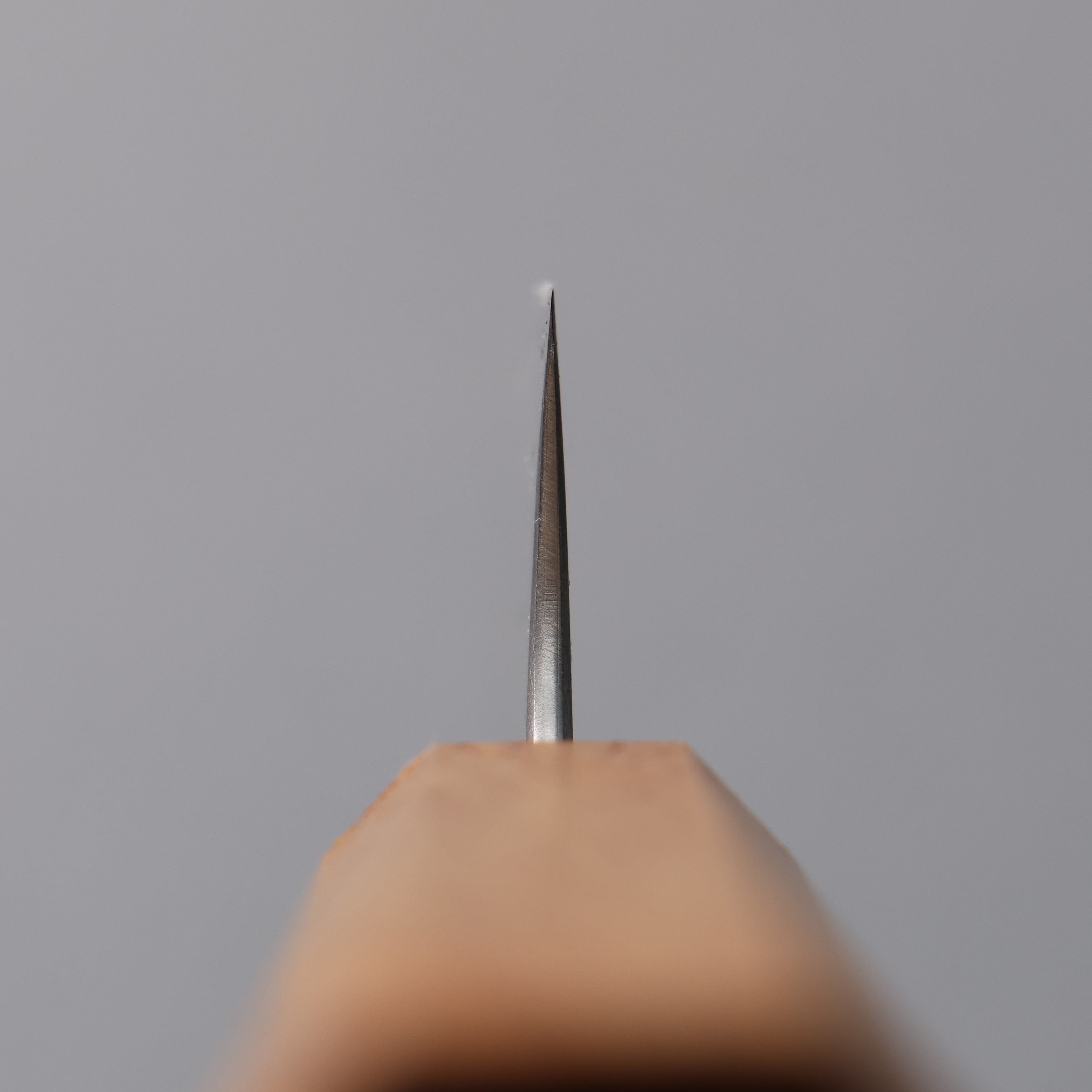 清助 銀三鋼 打磨處理 筋引 240mm 白橡木 握把 - 清助刃物