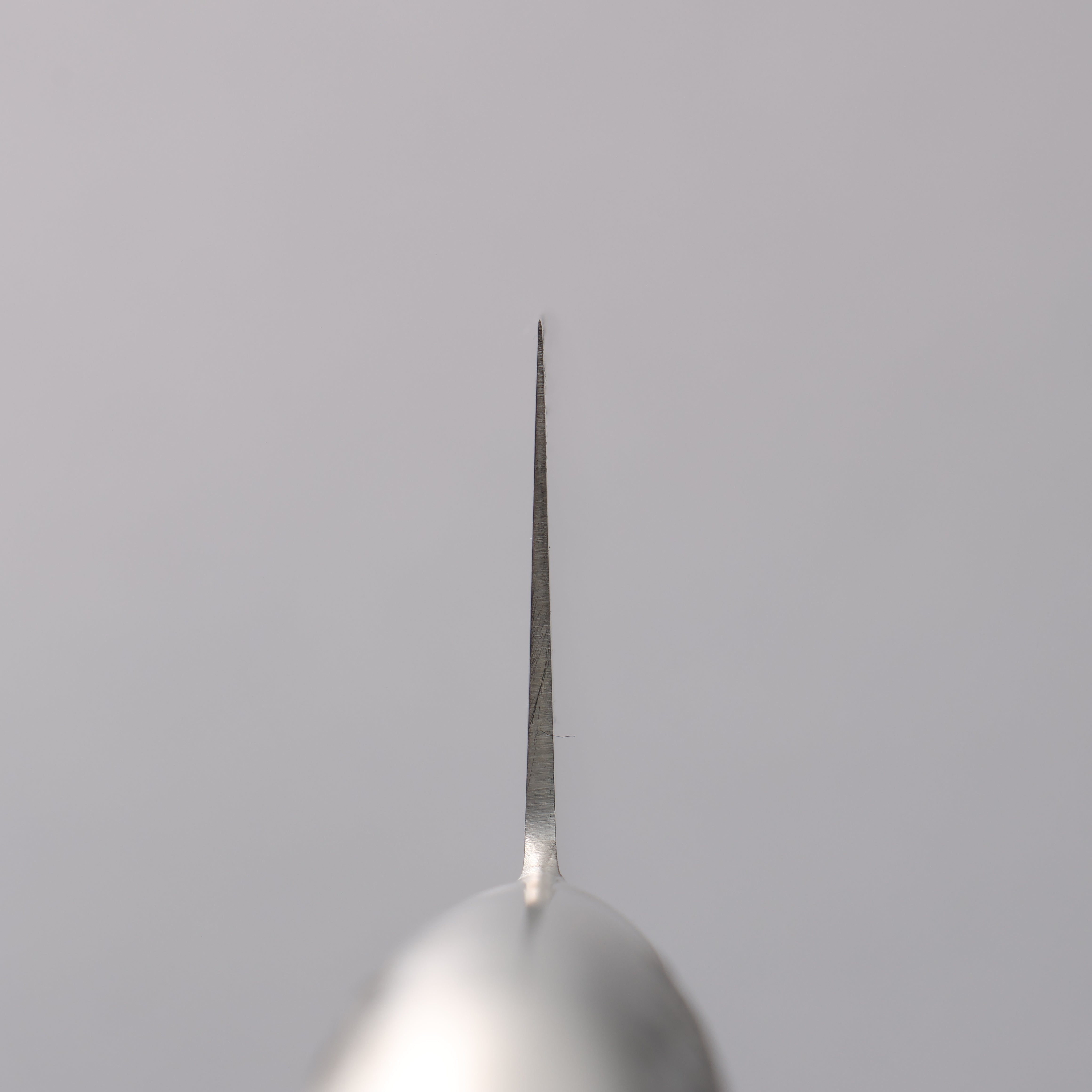 堺 孝行 INOX PRO 鉬鋼 牛刀 210mm - 清助刃物