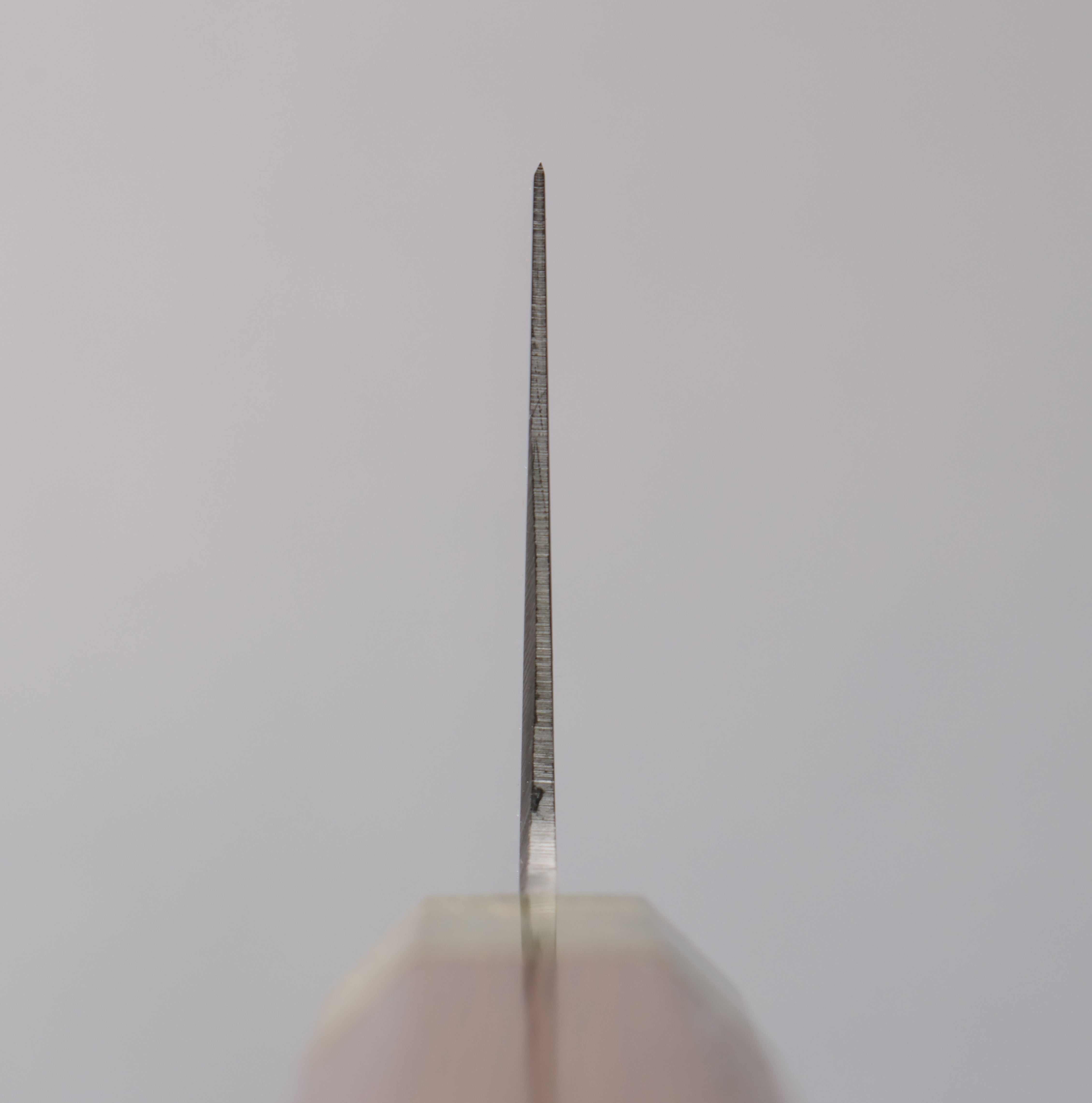 堺 孝行 Antares 翠玉 瑞典鋼 牛刀 240mm 雞翅木(兩側綠口輪) 握把 - 清助刃物
