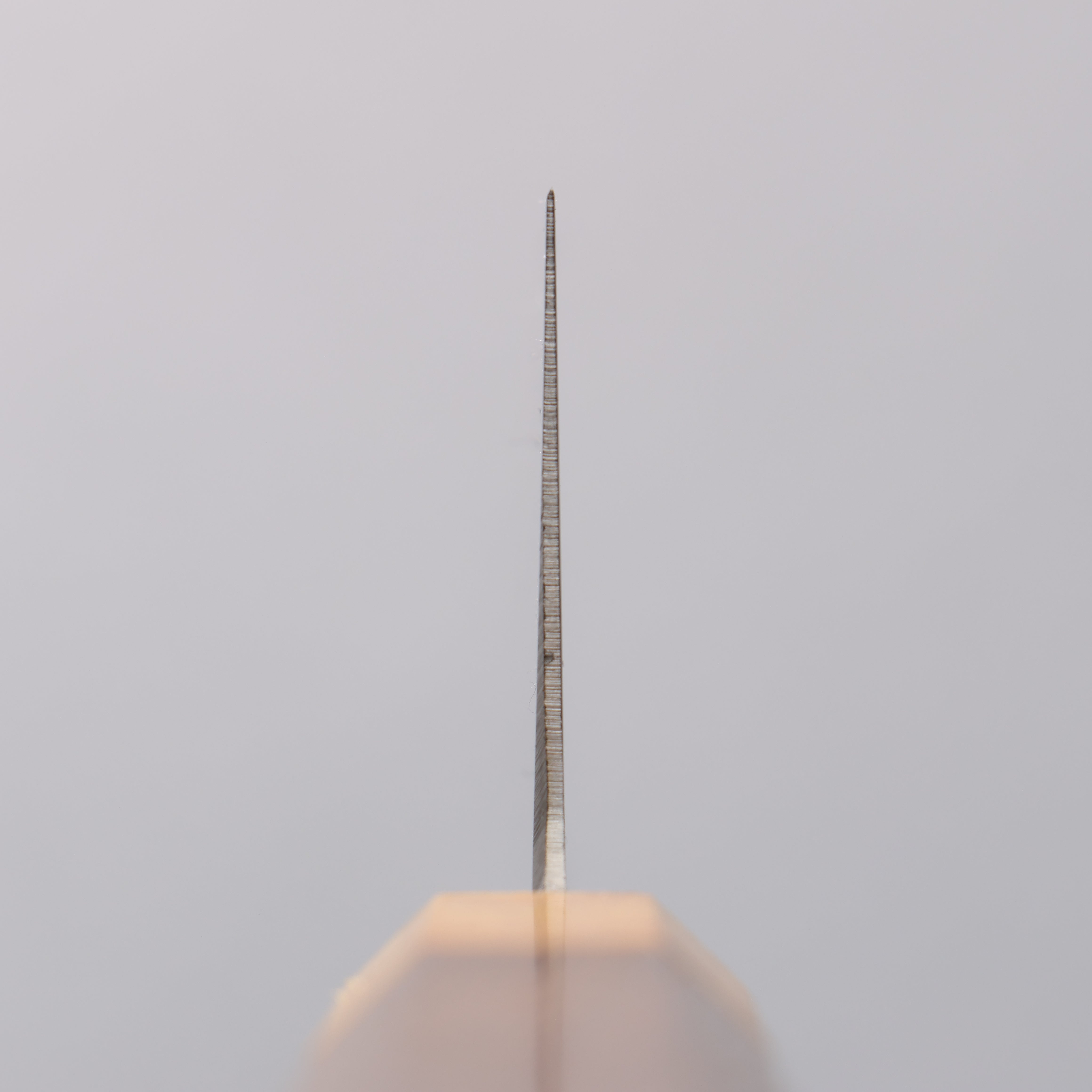 堺 孝行 Antares 托帕石 瑞典鋼 牛刀 240mm 雞翅木(兩側黃口輪) 握把 - 清助刃物