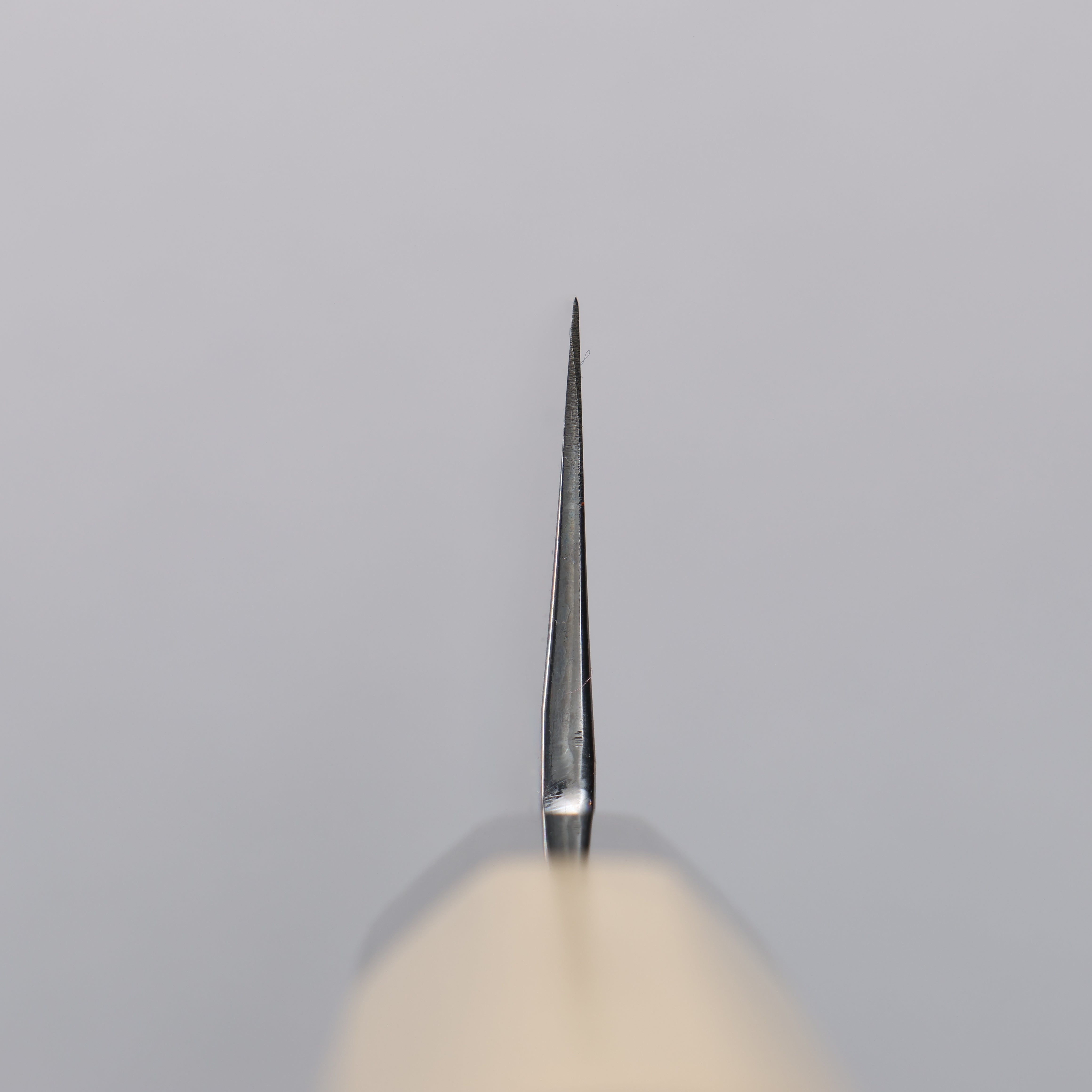 重陽 白鋼 鏡面處理 切付牛刀 240mm 木蘭握把 - 清助刃物