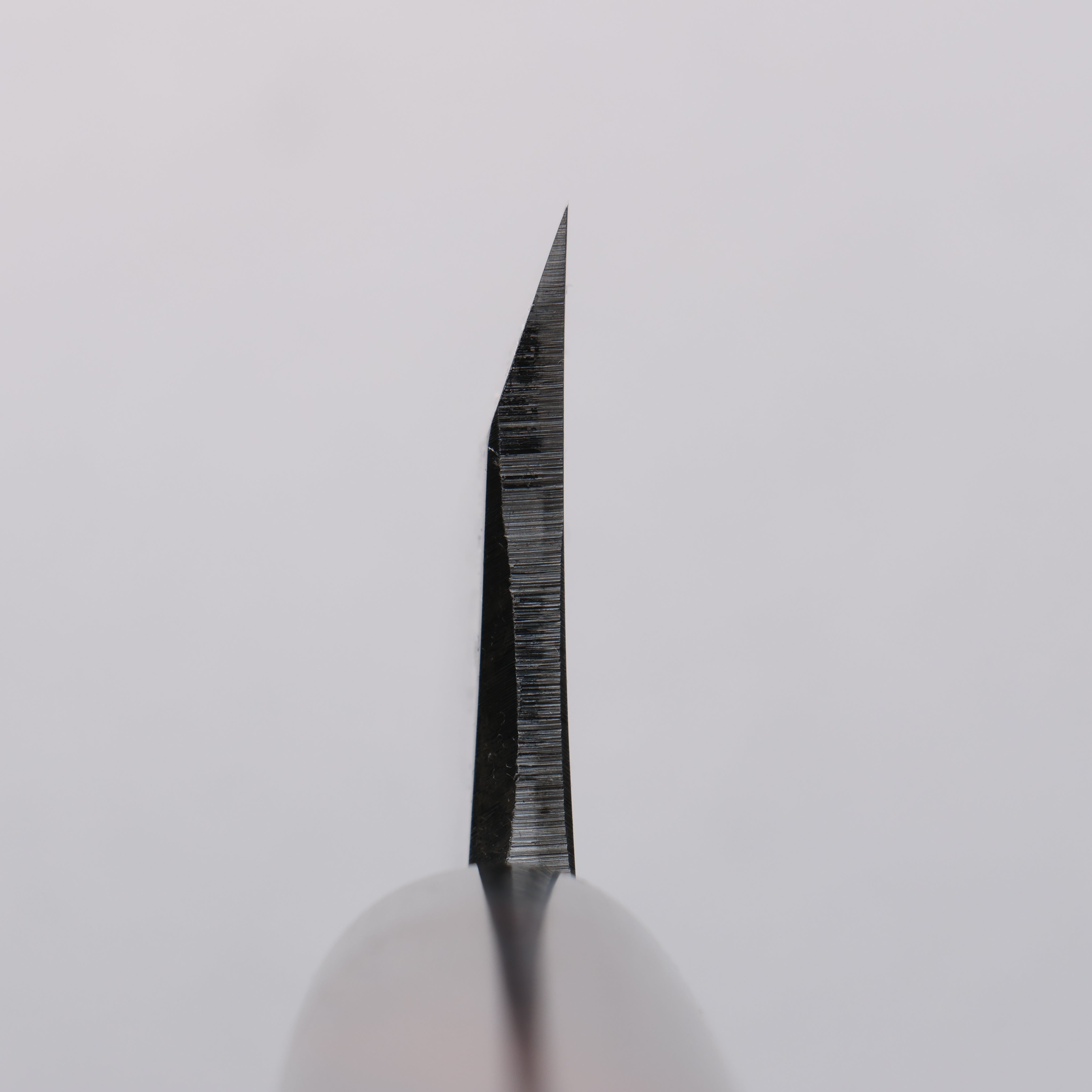 清助 青鋼 霞研 出刃 180mm 紫檀木 握把 - 清助刃物