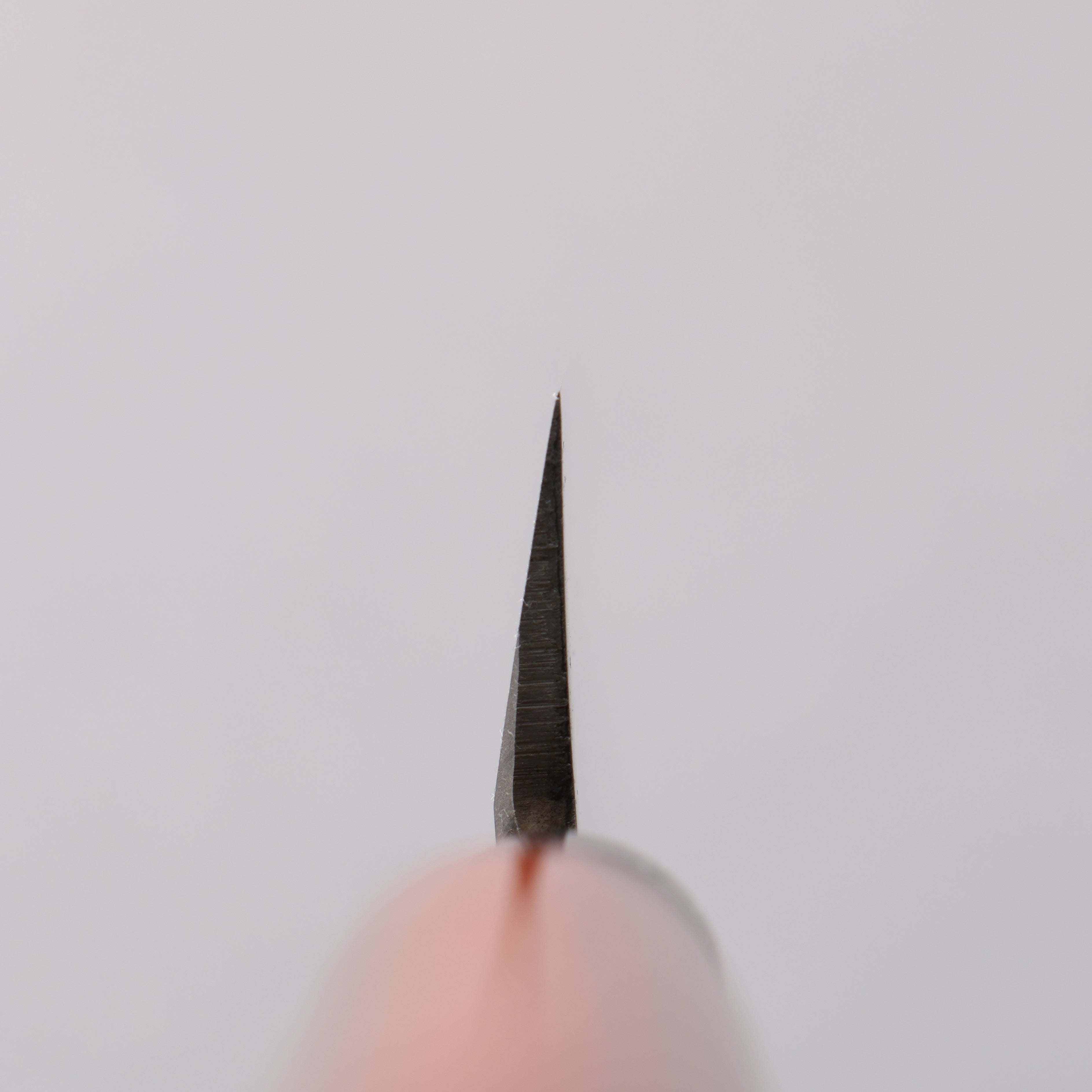 堺 孝行 四季彩 光 INOX 柳刃 漆塗握把 附刀鞘 240/270/300mm - 清助刃物