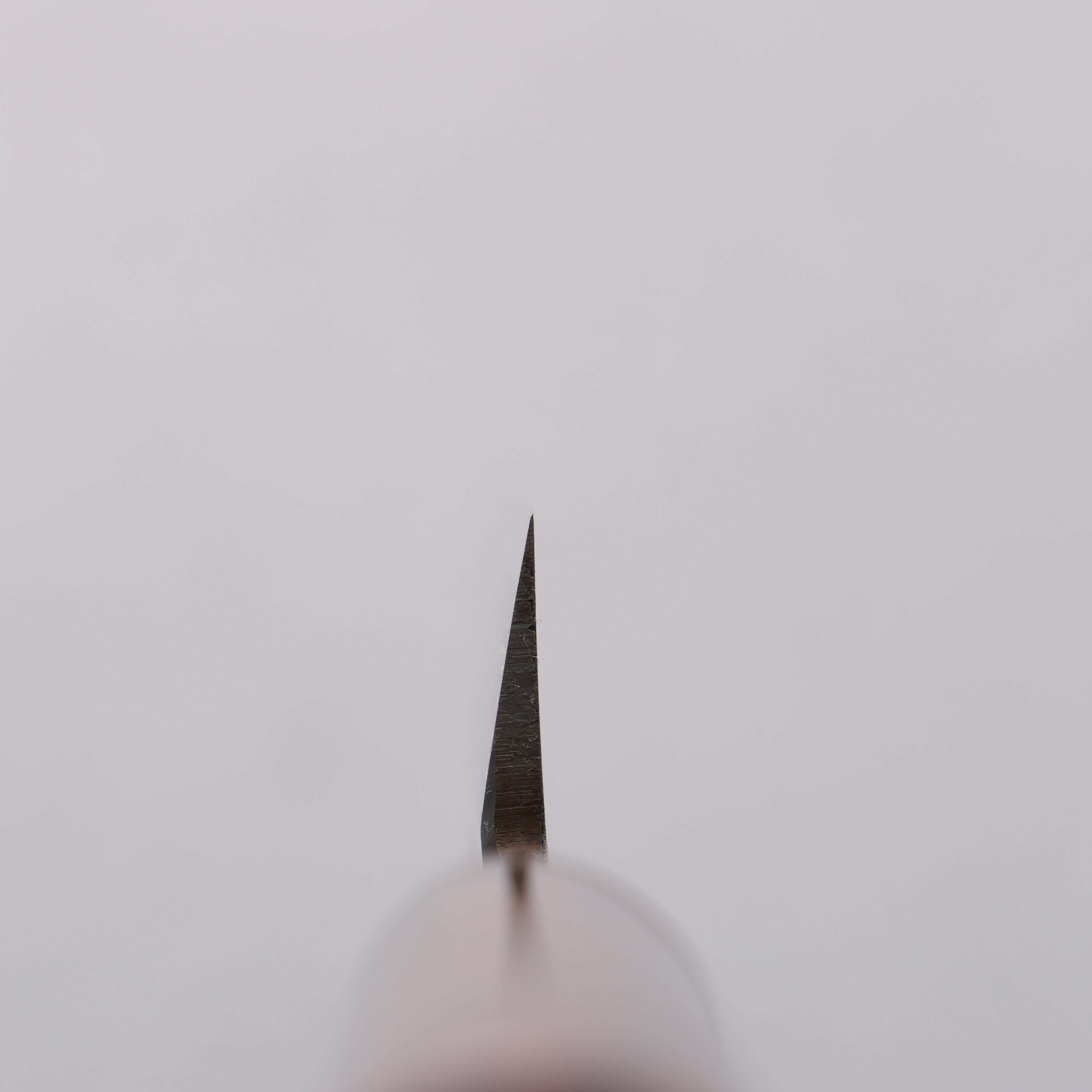 堺 孝行 四季彩 金茶 INOX 柳刃 漆塗握把 附刀鞘 240/270/300mm - 清助刃物