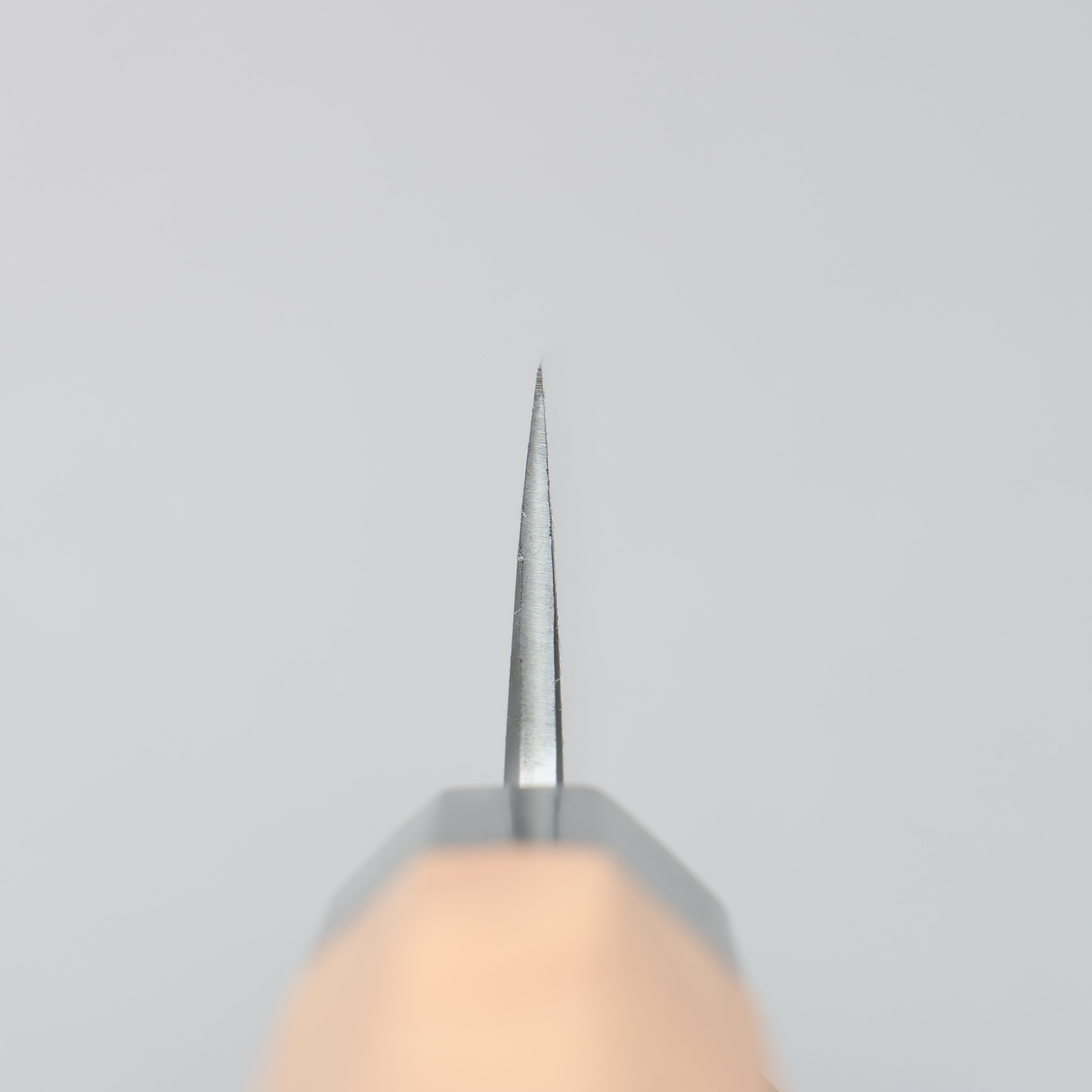 堺 孝行 焰 玄武 青鋼二號 先丸柳刃 300mm 紫杉木握把 附刀鞘 - 清助刃物