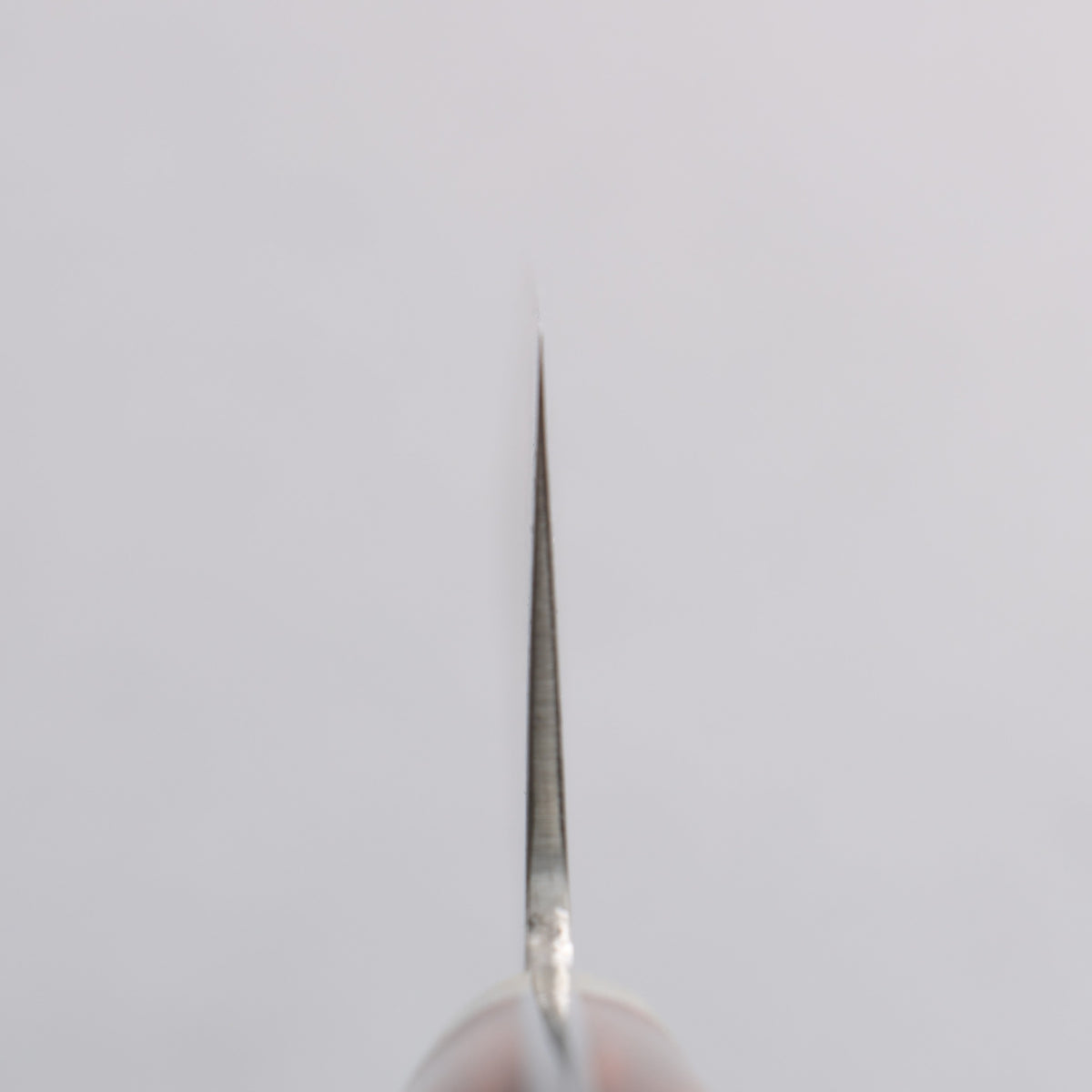 田中 誠貴 SG2 大馬士革紋 牛刀 210mm 鐵木 握把 - 清助刃物