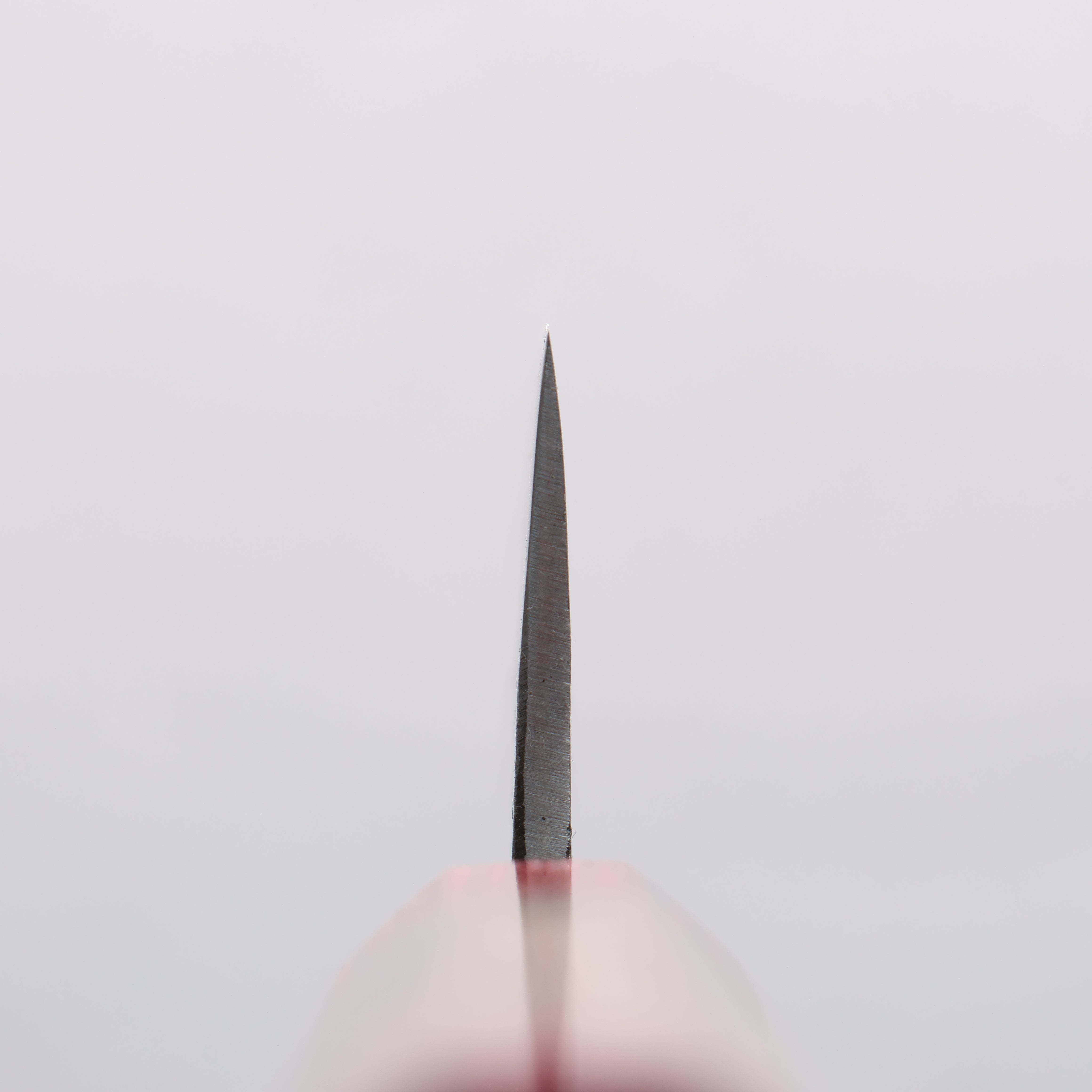 清助 Kurumi 青鋼 黑打 文化刀 180mm 核桃木(兩側帶紅色環型設計) 握把 - 清助刃物