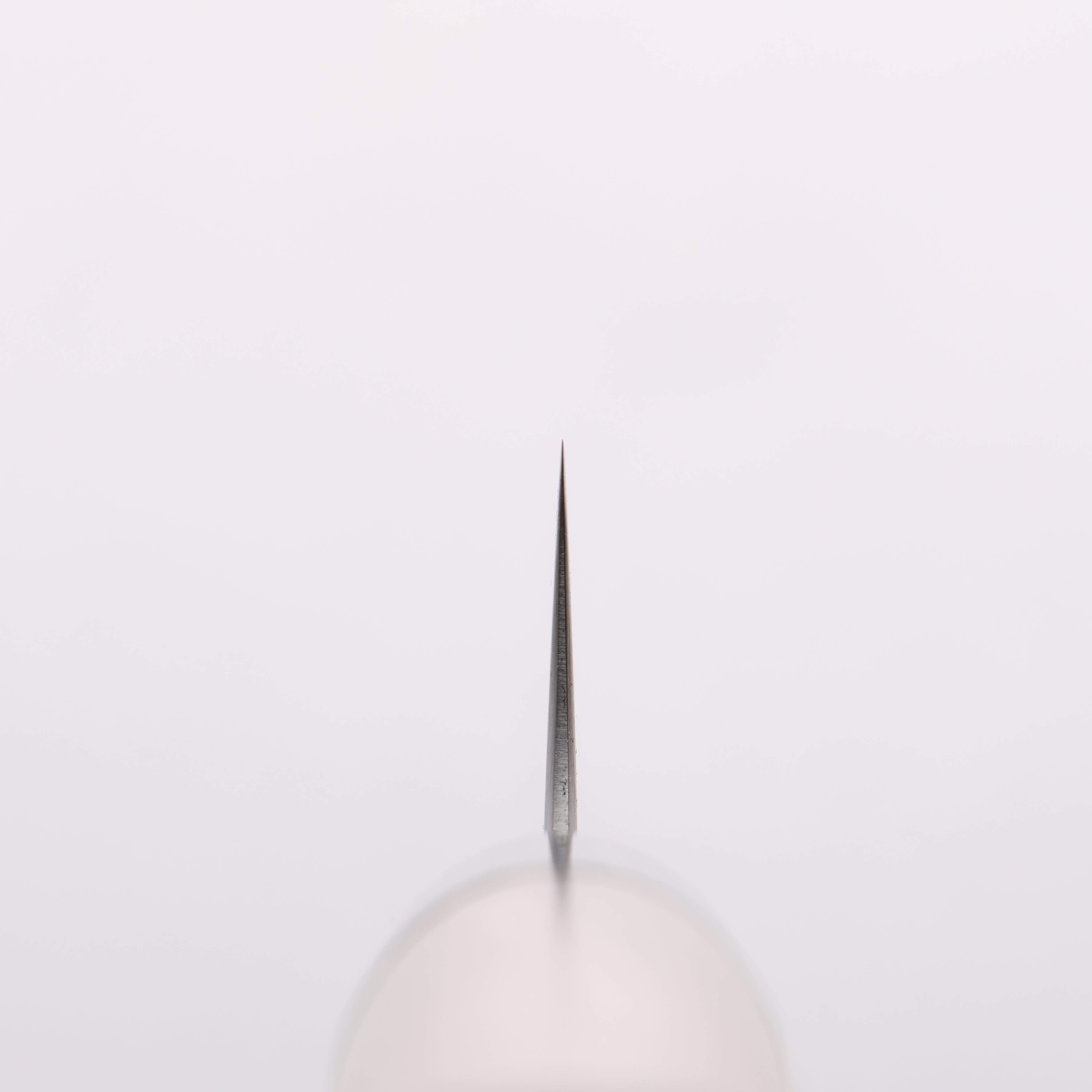 清助 SRS13 打磨處理 筋引 270mm 紫檀木(口輪:黑合成木) 握把 - 清助刃物