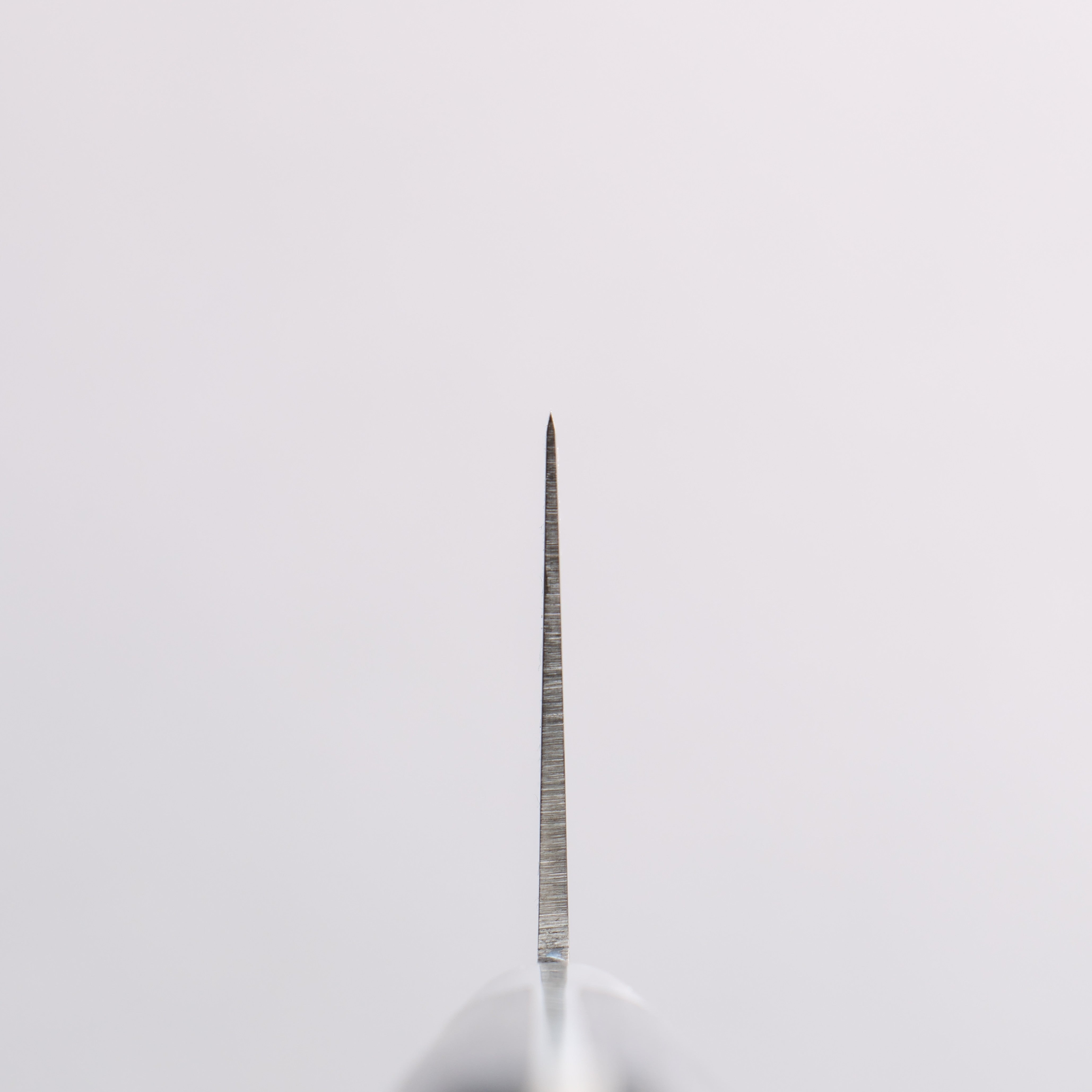 清助 青天 鉬鋼(MOL) 牛刀 210mm 深藍色合成木 握把 - 清助刃物