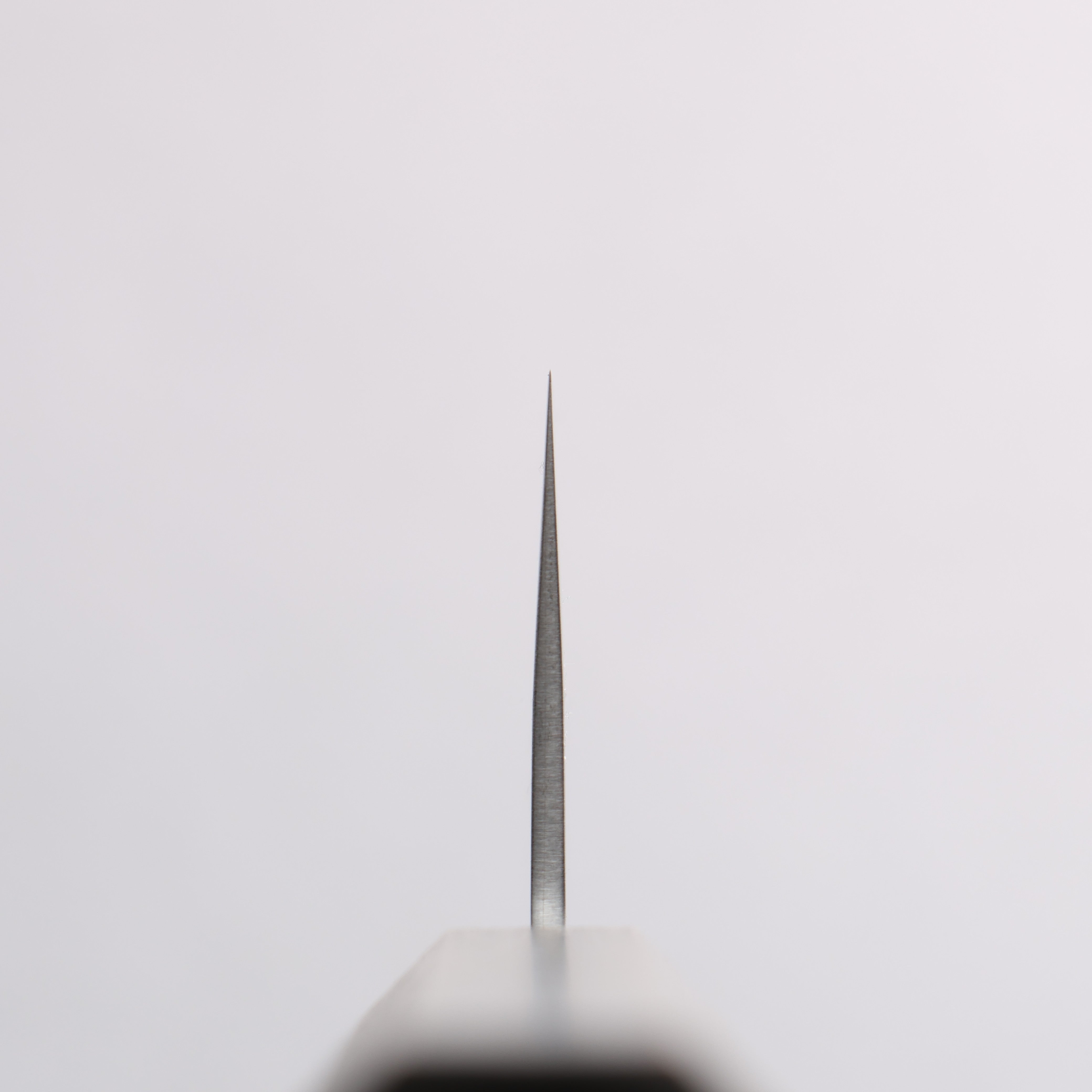 清助 SG2 三德刀 165mm 橡木 握把 - 清助刃物