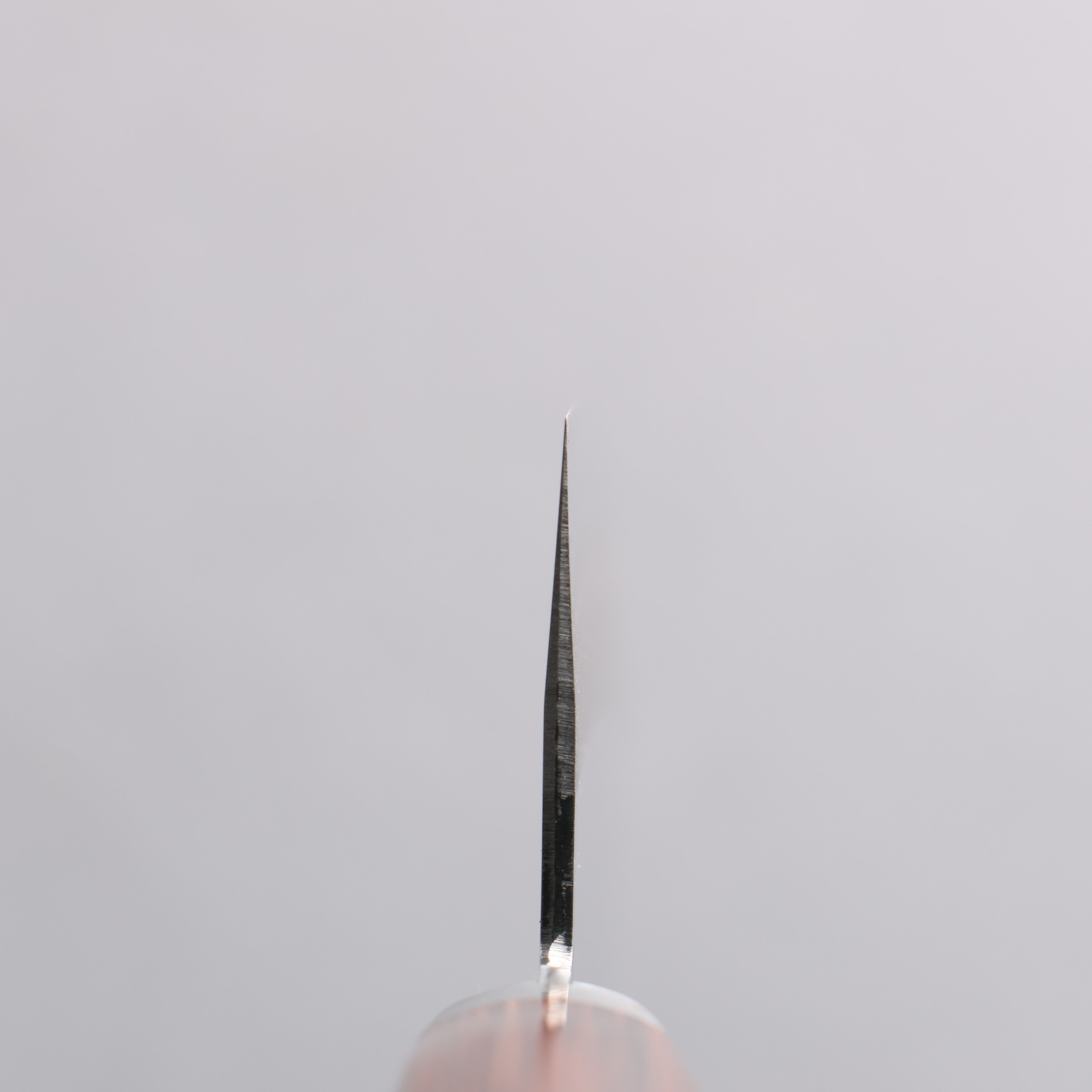 訓平 VG1 打磨處理 牛刀 180mm 桃花心木 握把 - 清助刃物
