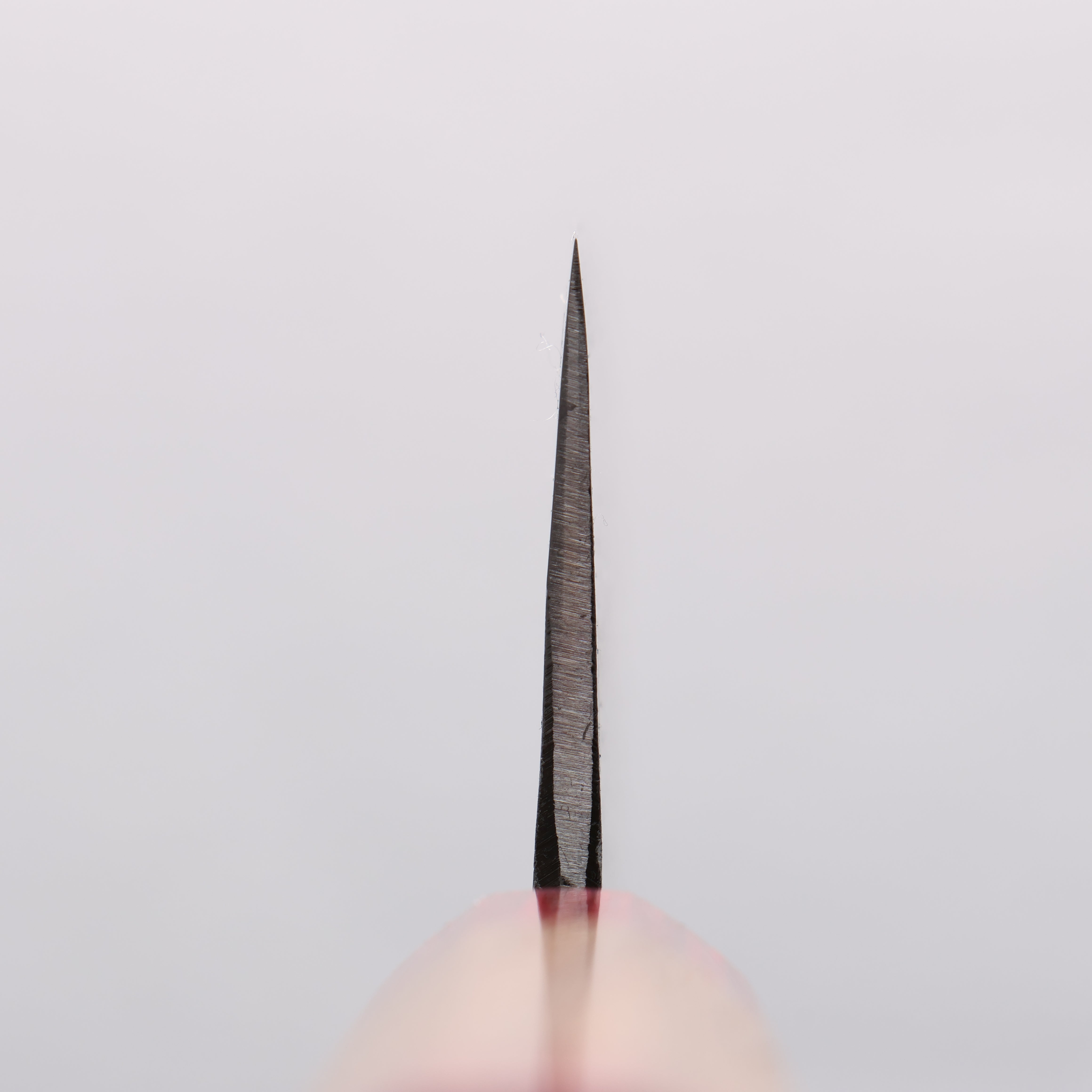清助 Kurumi 青鋼 黑打 薄刃 165mm 核桃木(兩側帶紅色環型設計) 握把 - 清助刃物