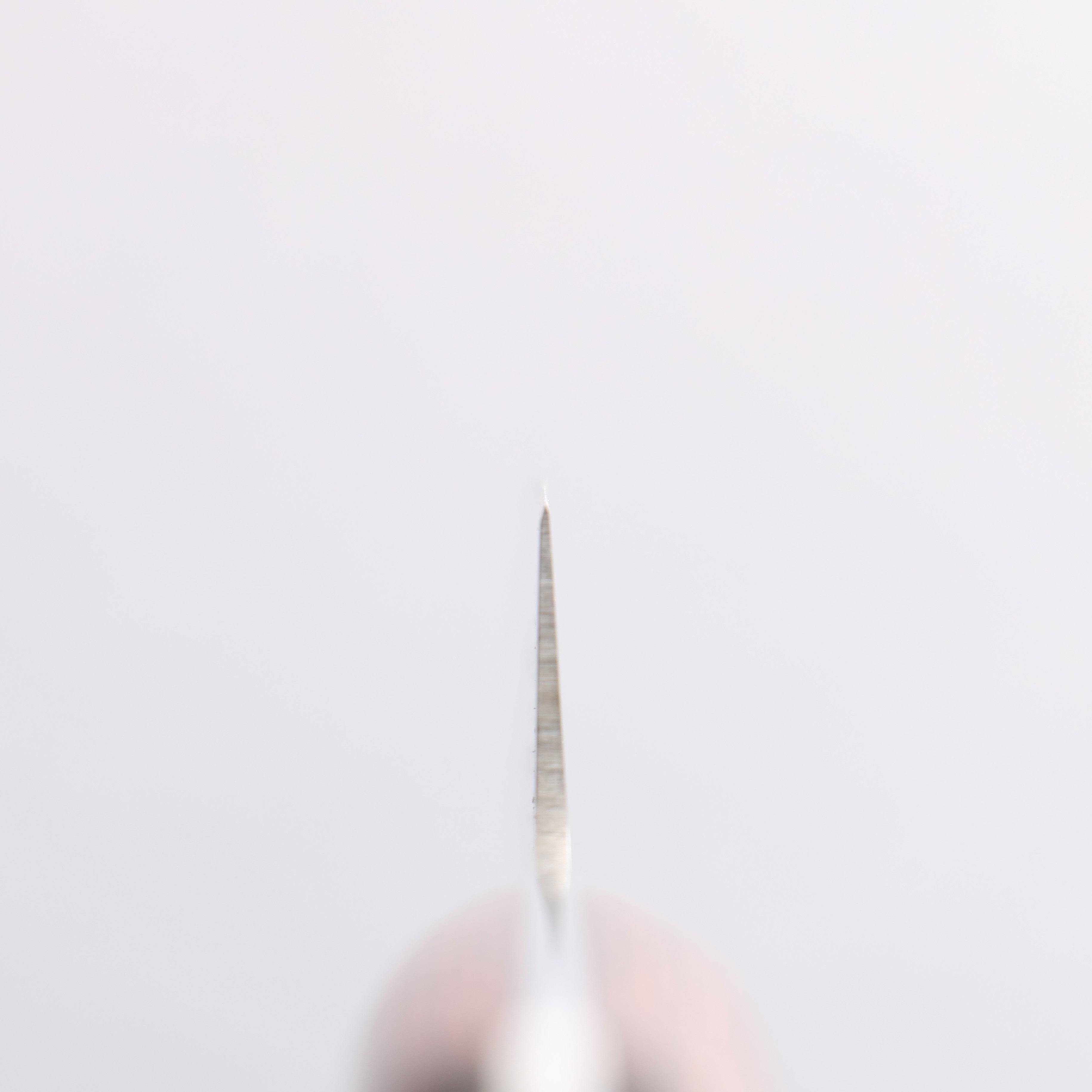 清助 鉬鋼(MOL) 切付多用途小刀 145mm 桃花心木 握把 - 清助刃物