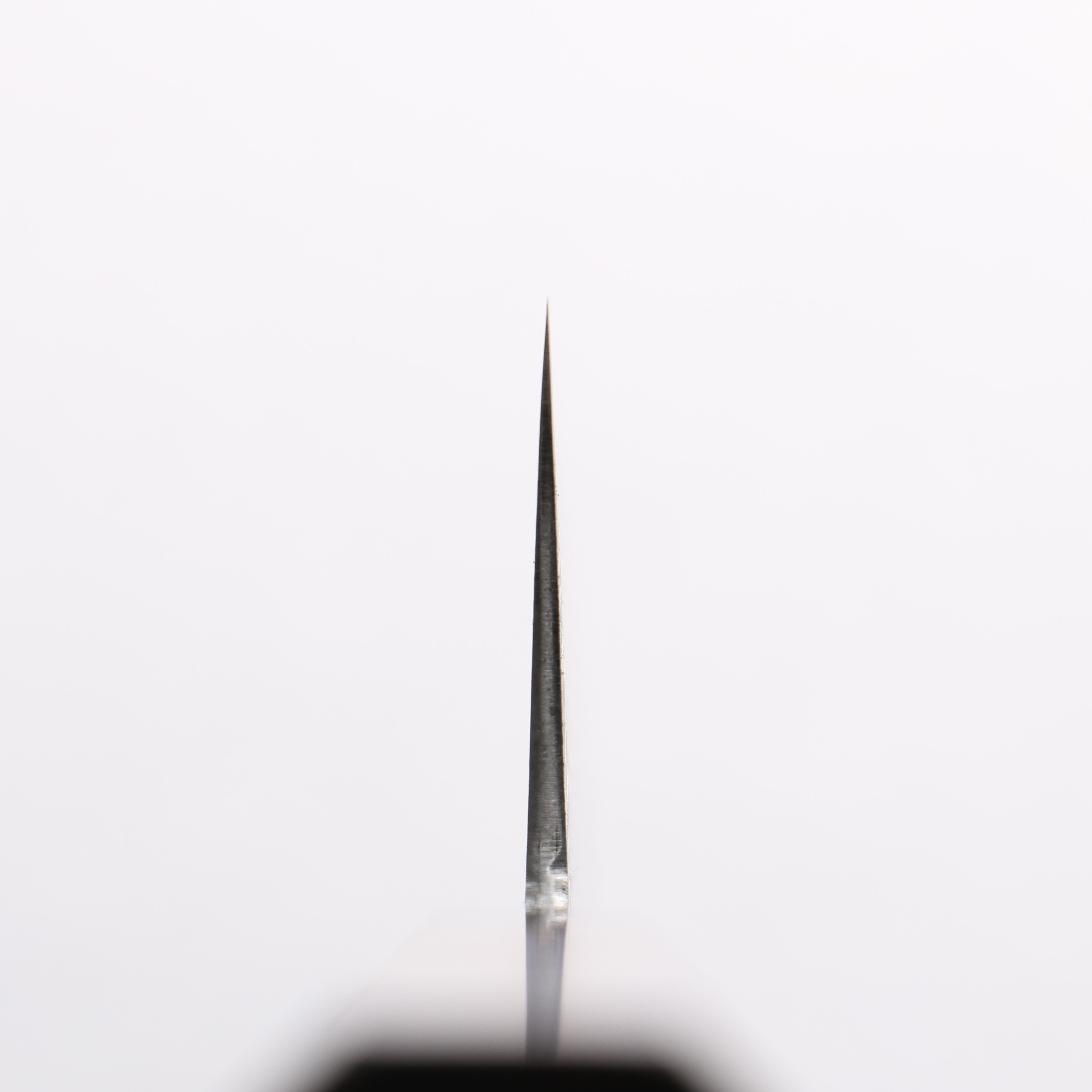 田中 誠貴 春風 SG2 大馬士革紋 牛刀 210mm 核桃木 握把 - 清助刃物