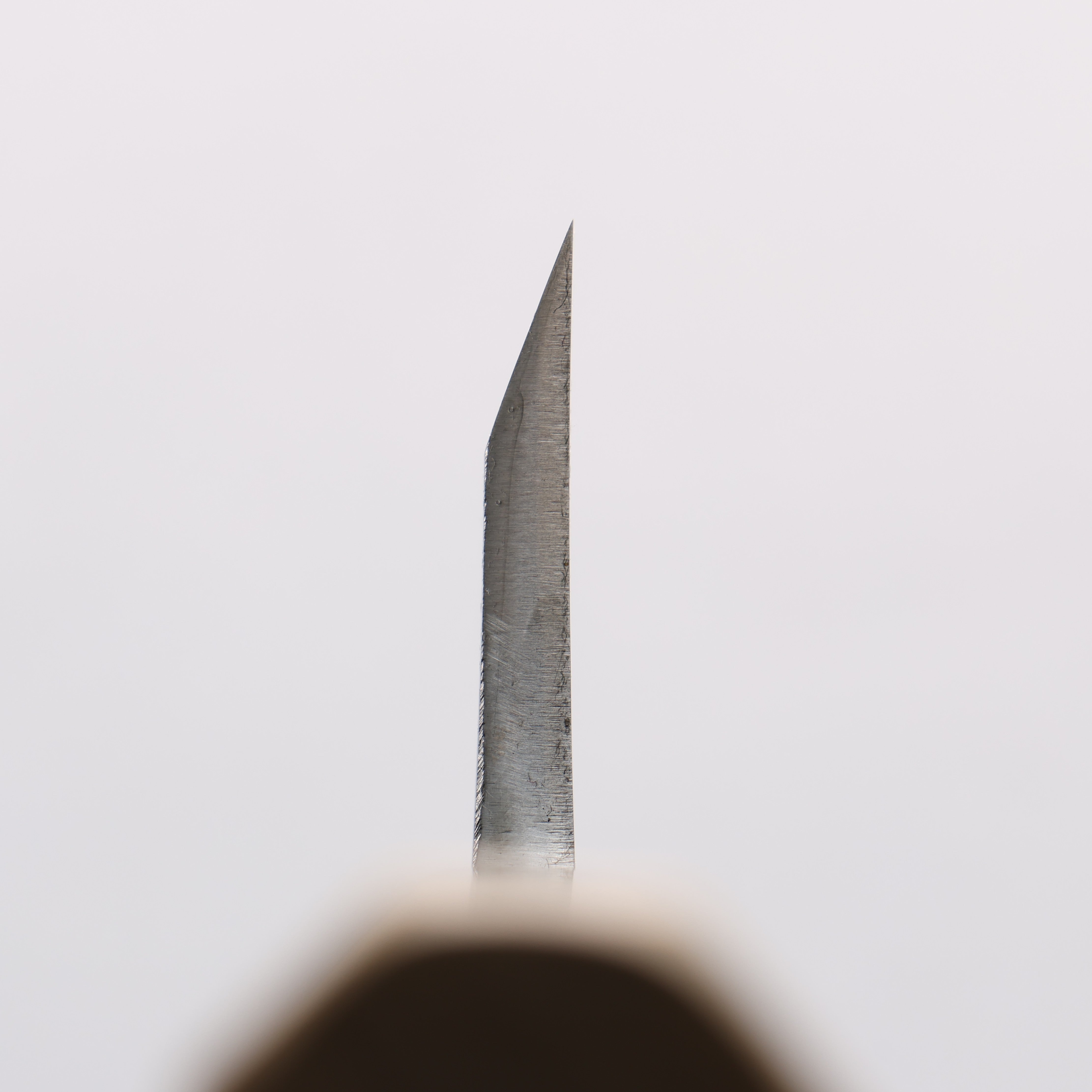 源 昭忠 青鋼二號 相出刃 165mm 木蘭(口輪:水牛角) 握把 - 清助刃物
