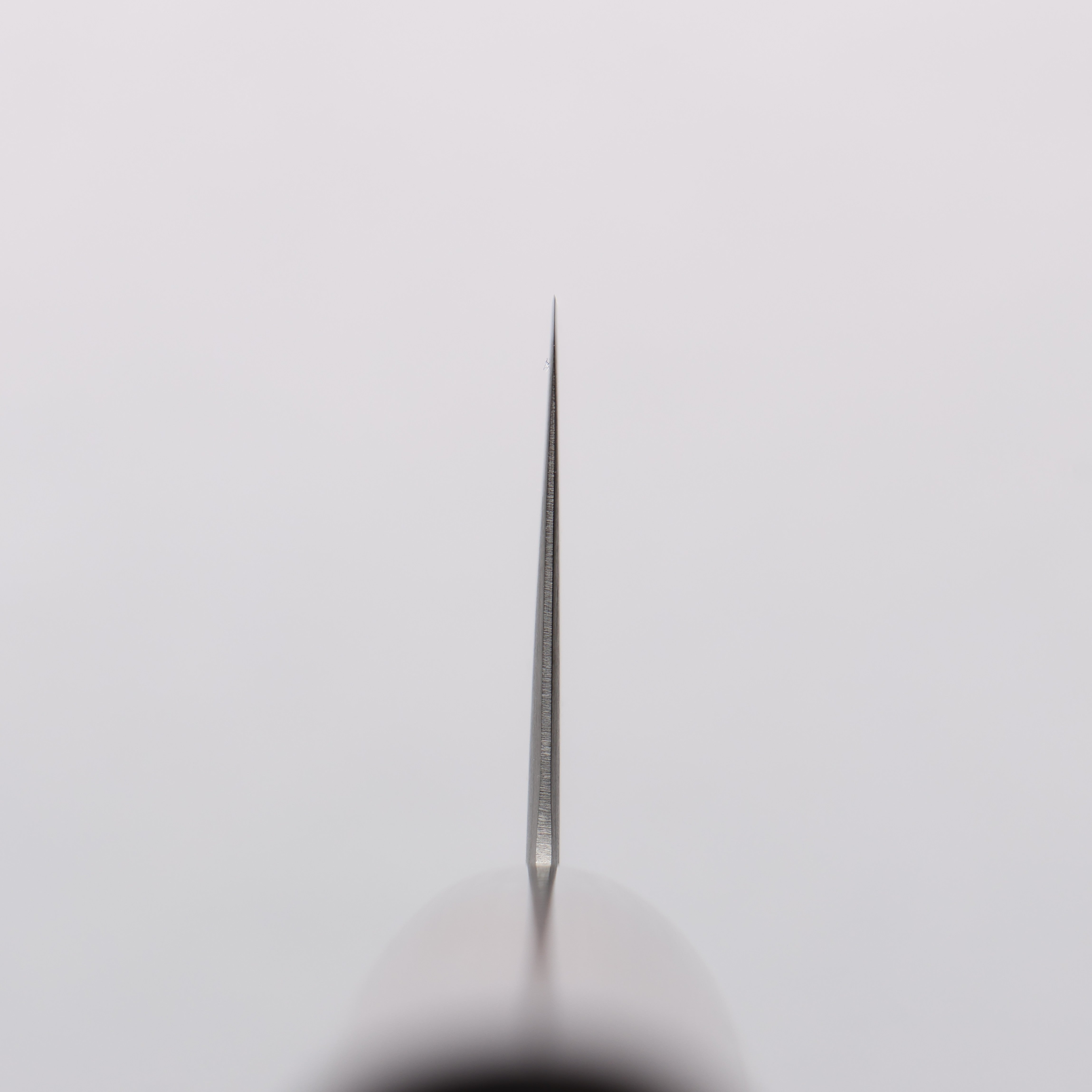 清助 超級青鋼 切付牛刀 210mm 紫檀木(口輪:黑合成木) 握把 - 清助刃物