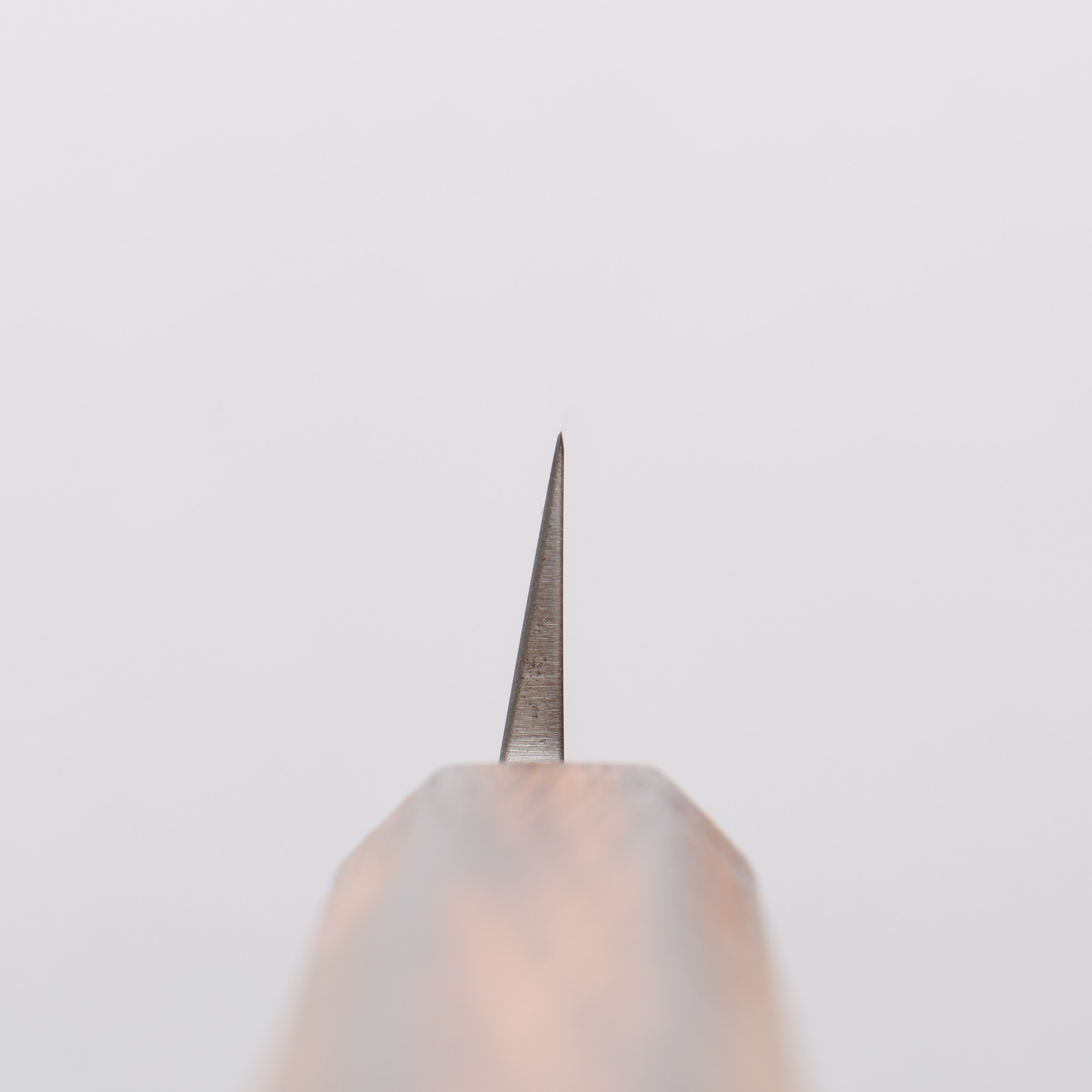 清助 AUS8 柳刃 210mm 橡木 握把 - 清助刃物