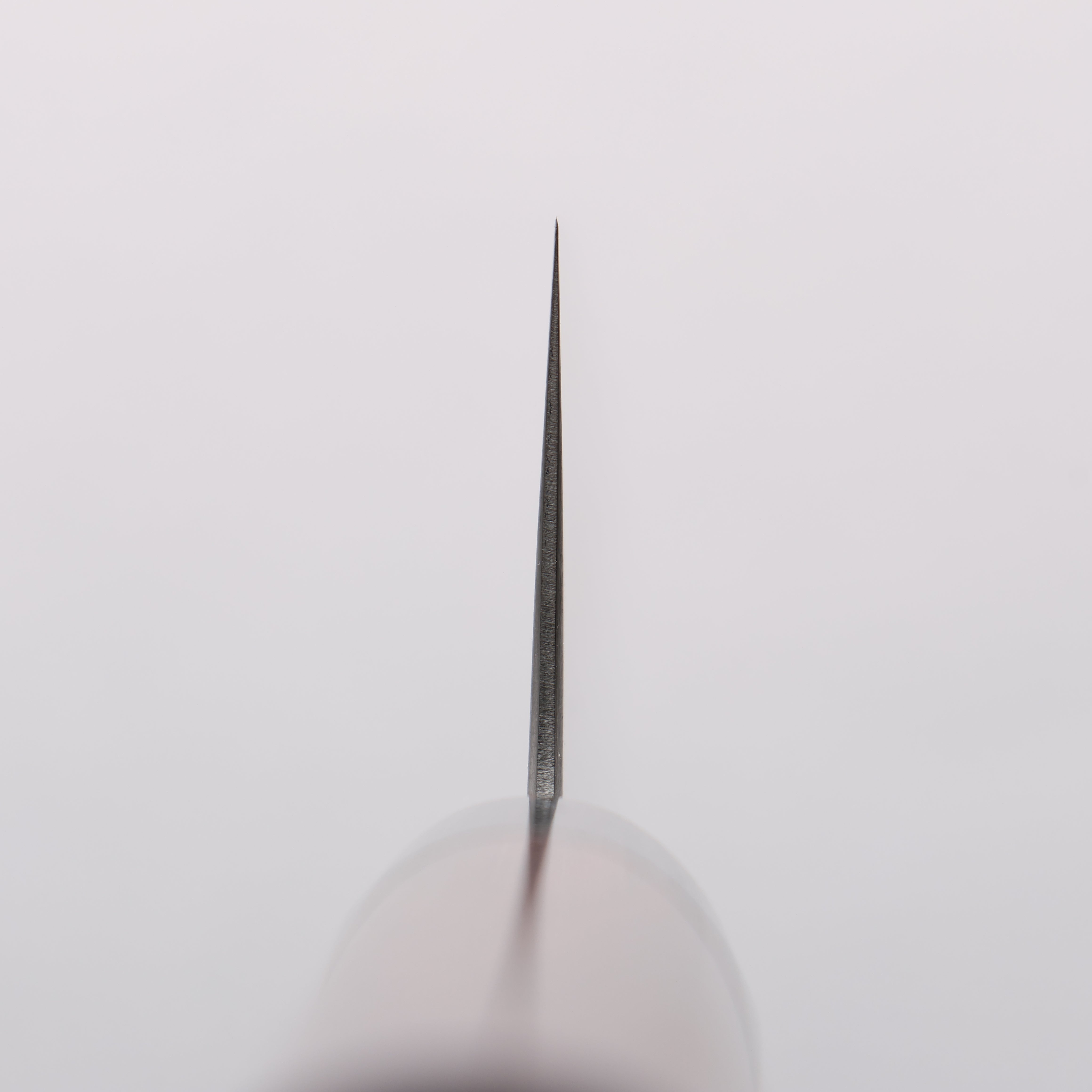 清助 超級青鋼 切付牛刀 240mm 紫檀木(口輪:黑合成木) 握把 - 清助刃物