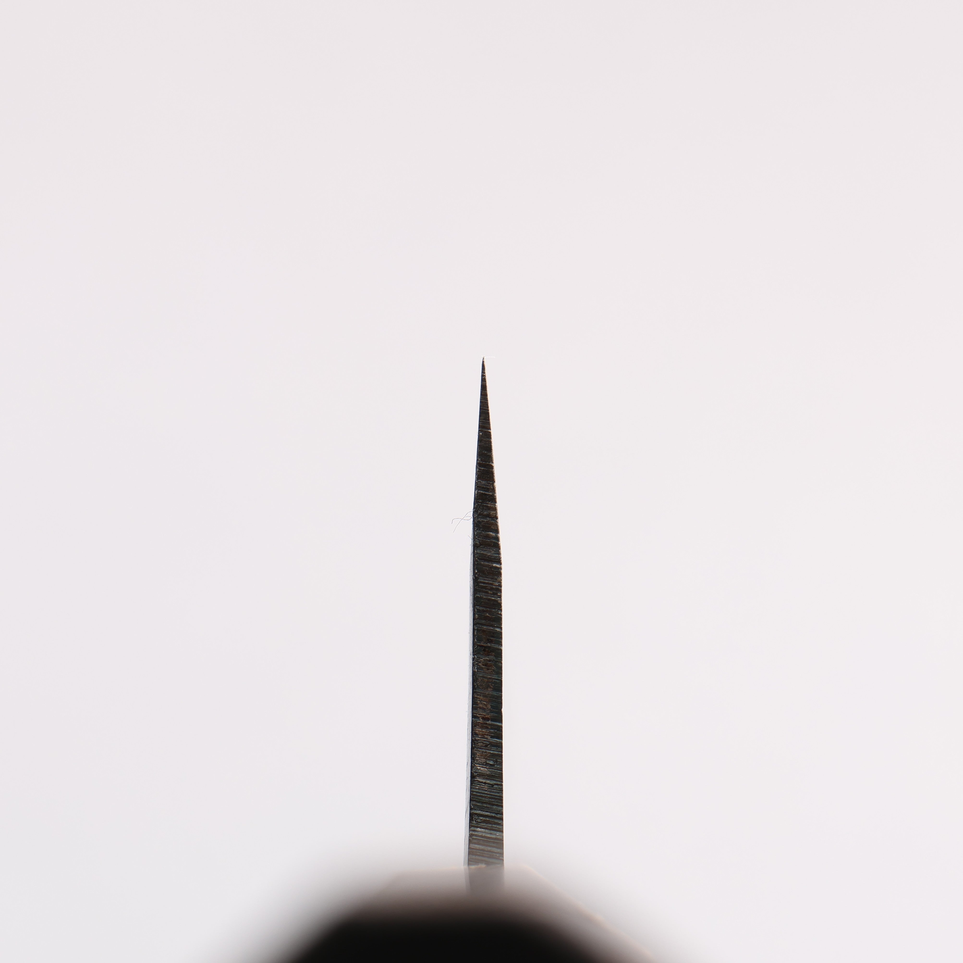 清助 青鋼一號 黑打 切付牛刀 210mm 燒栗木(口輪:櫻花木) 握把 - 清助刃物