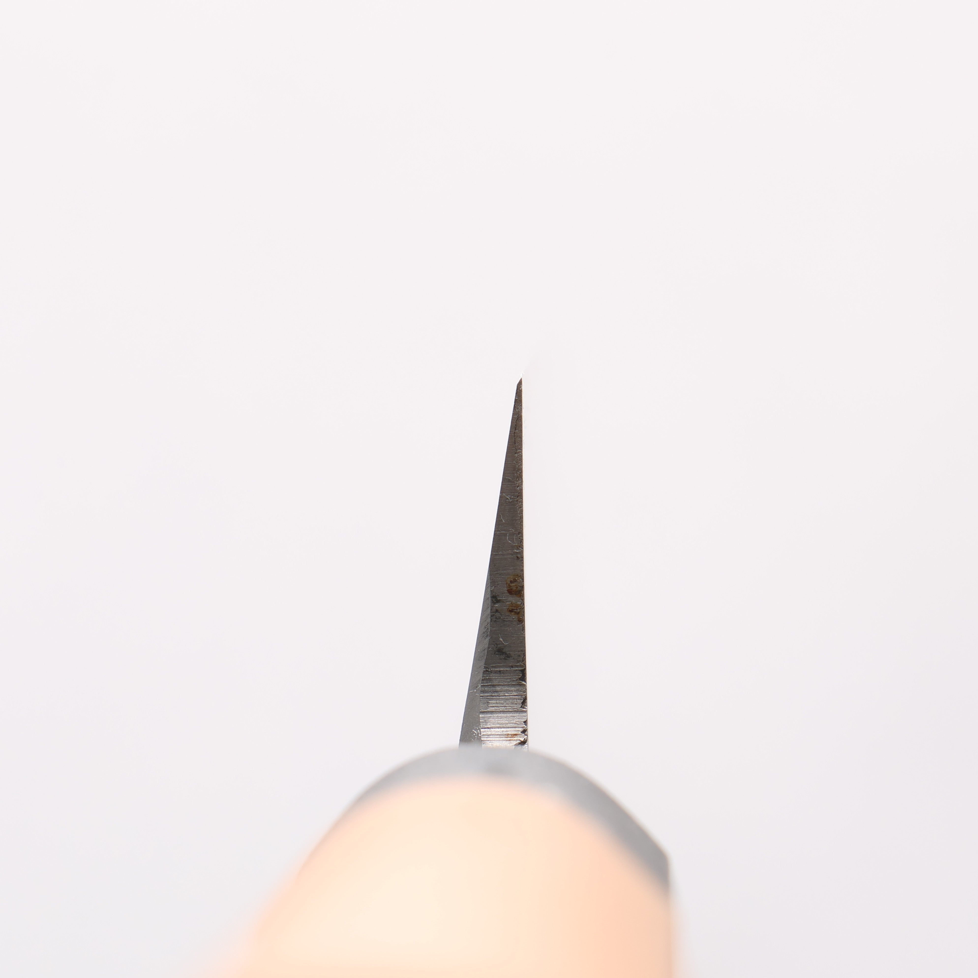 堺 孝行 鉬鋼(MOL) 柳刃 270mm PC 塑膠抗菌握把 - 清助刃物