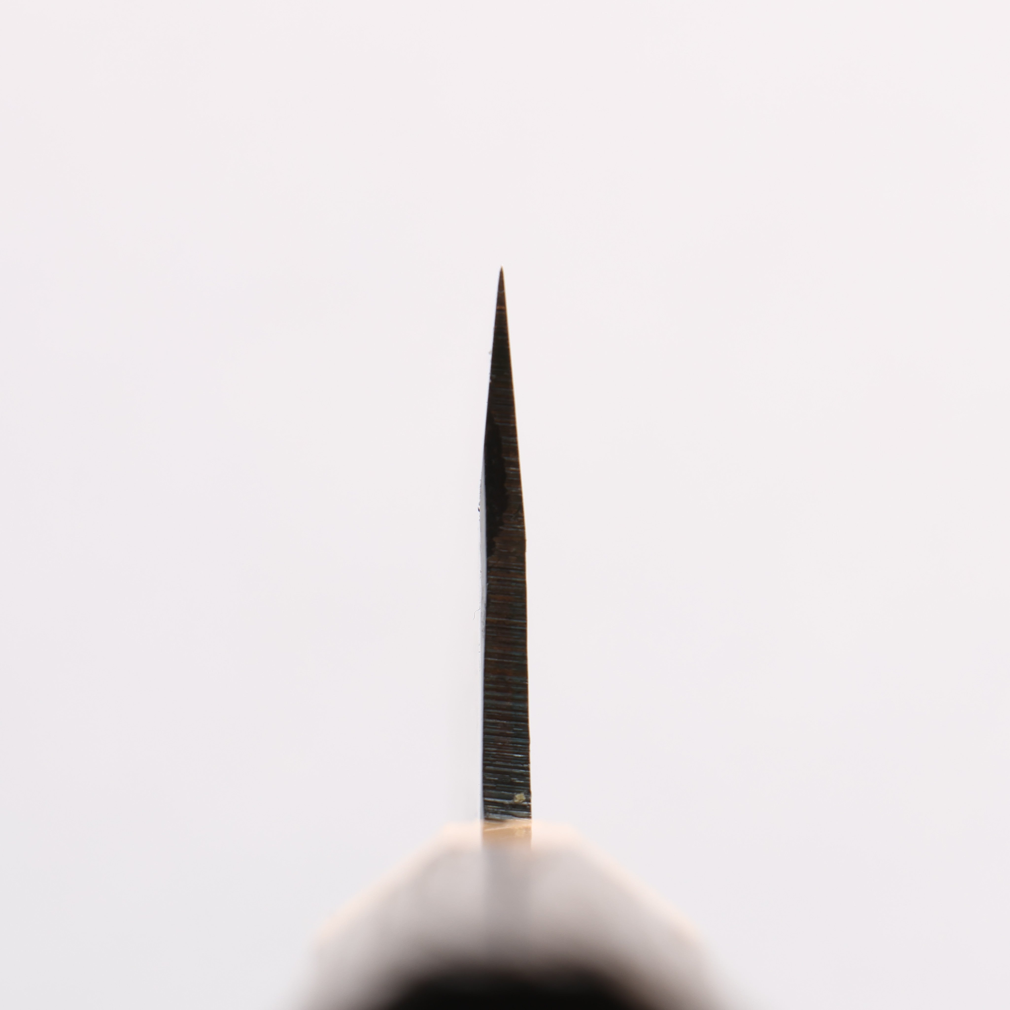 清助 超級青鋼 黑打 切付牛刀 210mm 燒栗木(口輪:櫻花木) 握把 - 清助刃物