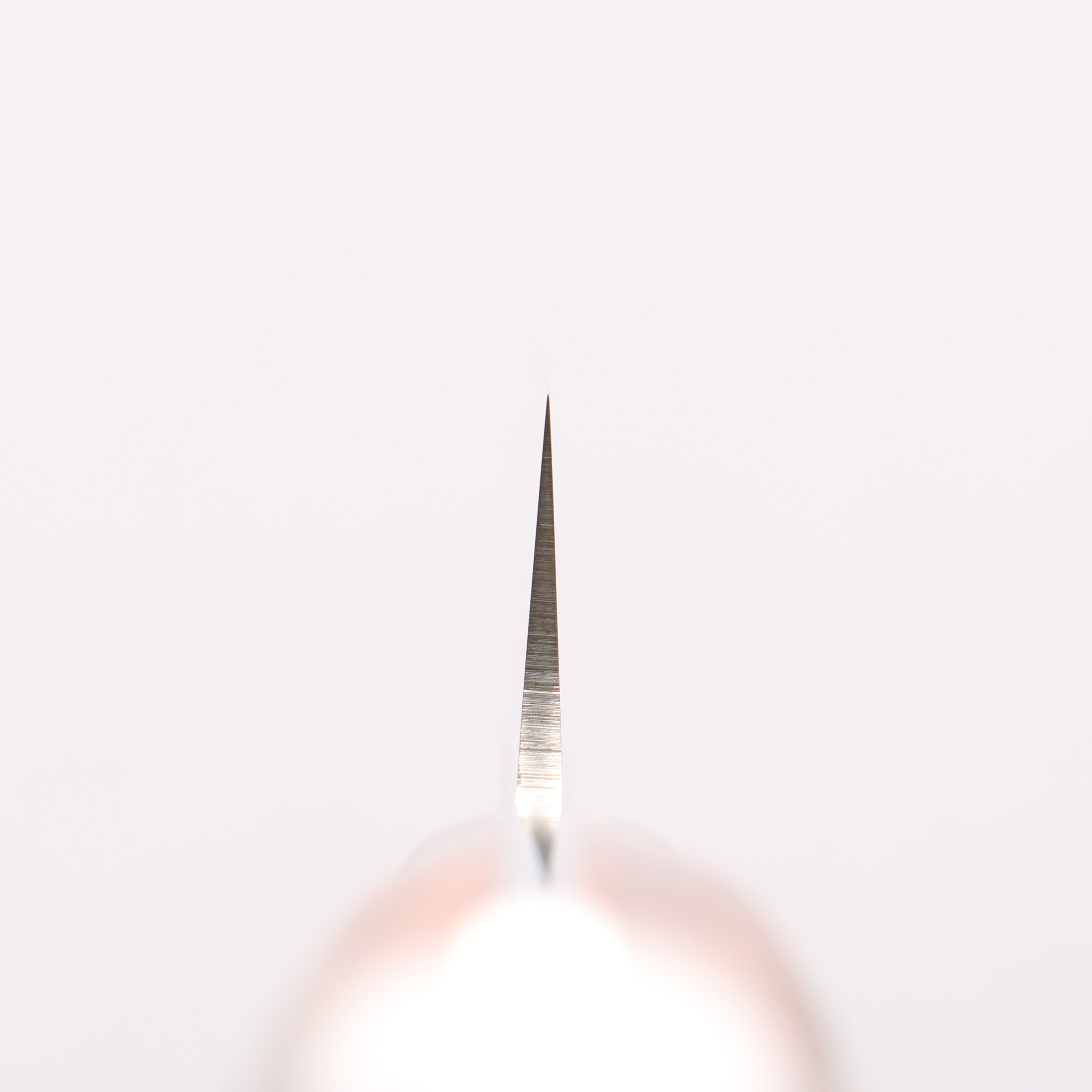 堺 孝行 大廚系列 瑞典鋼 切付柳刃 260mm 沙漠鐵木(杉原型) 握把 附刀鞘 - 清助刃物