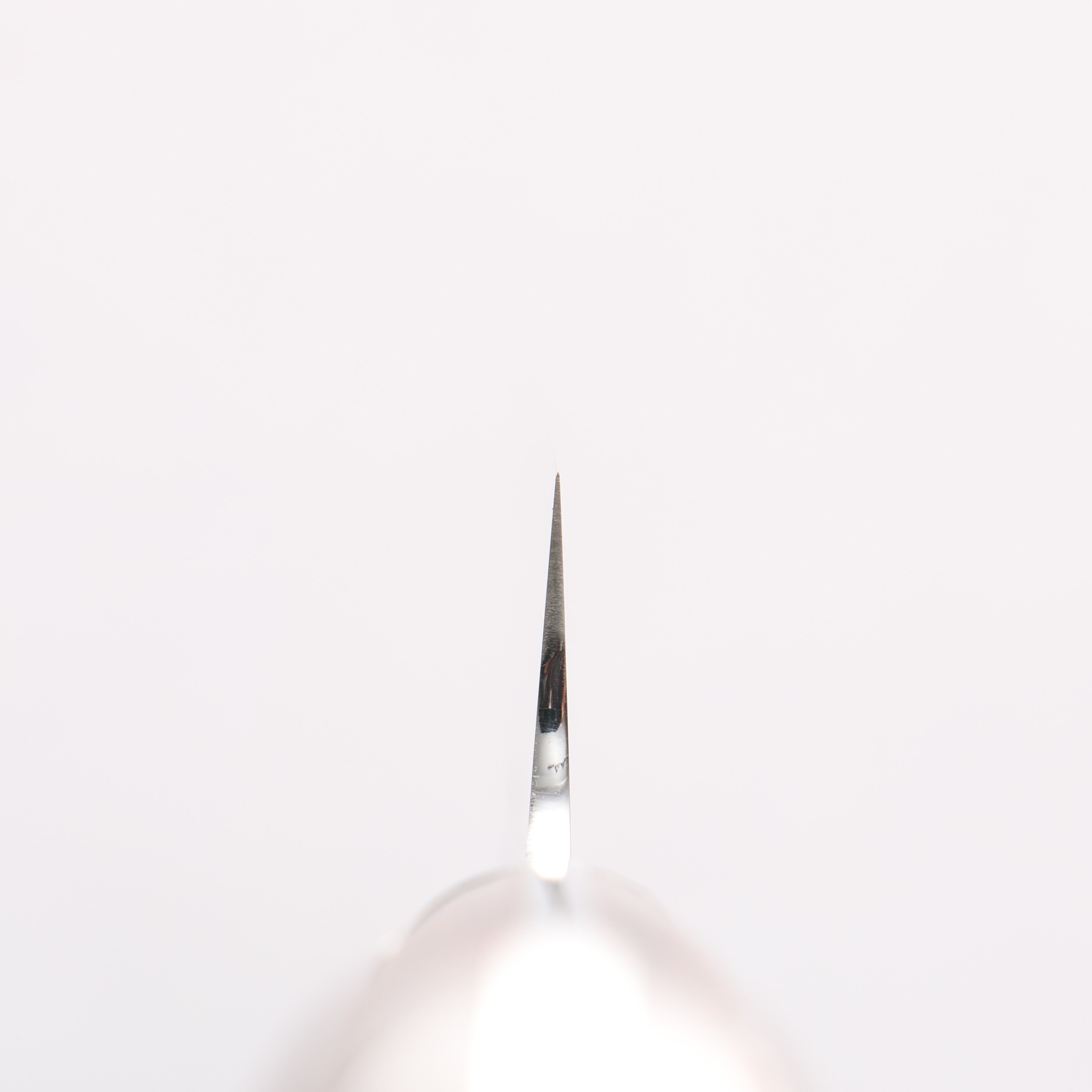堺 孝行 大廚系列 【左撇子用】 瑞典鋼 切付柳刃 260mm 沙漠鐵木(杉原型) 握把 附刀鞘 - 清助刃物