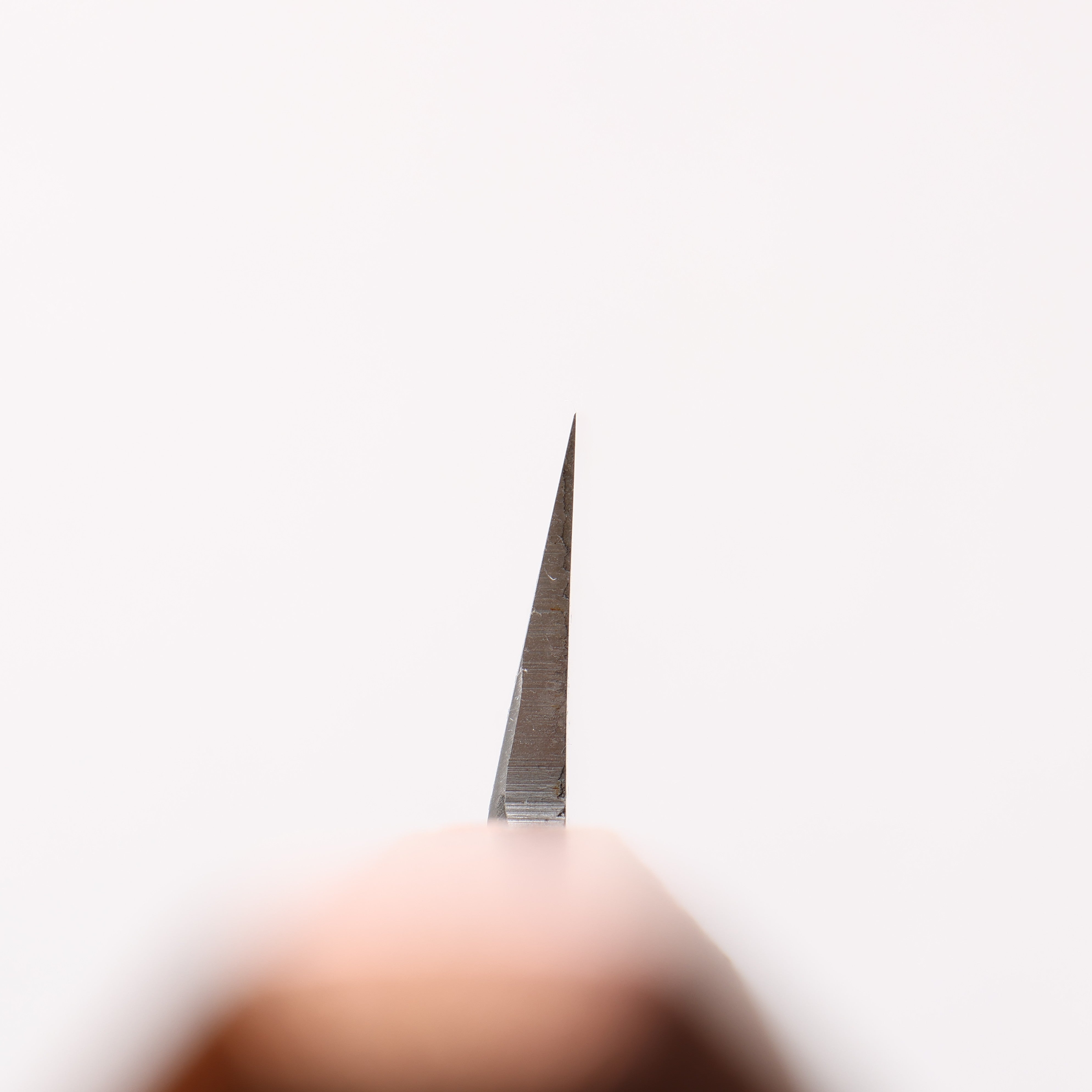 堺 孝行 七色 INOX 鉬鋼 柳刃 270mm ABS 樹脂(復古金)握把 - 清助刃物