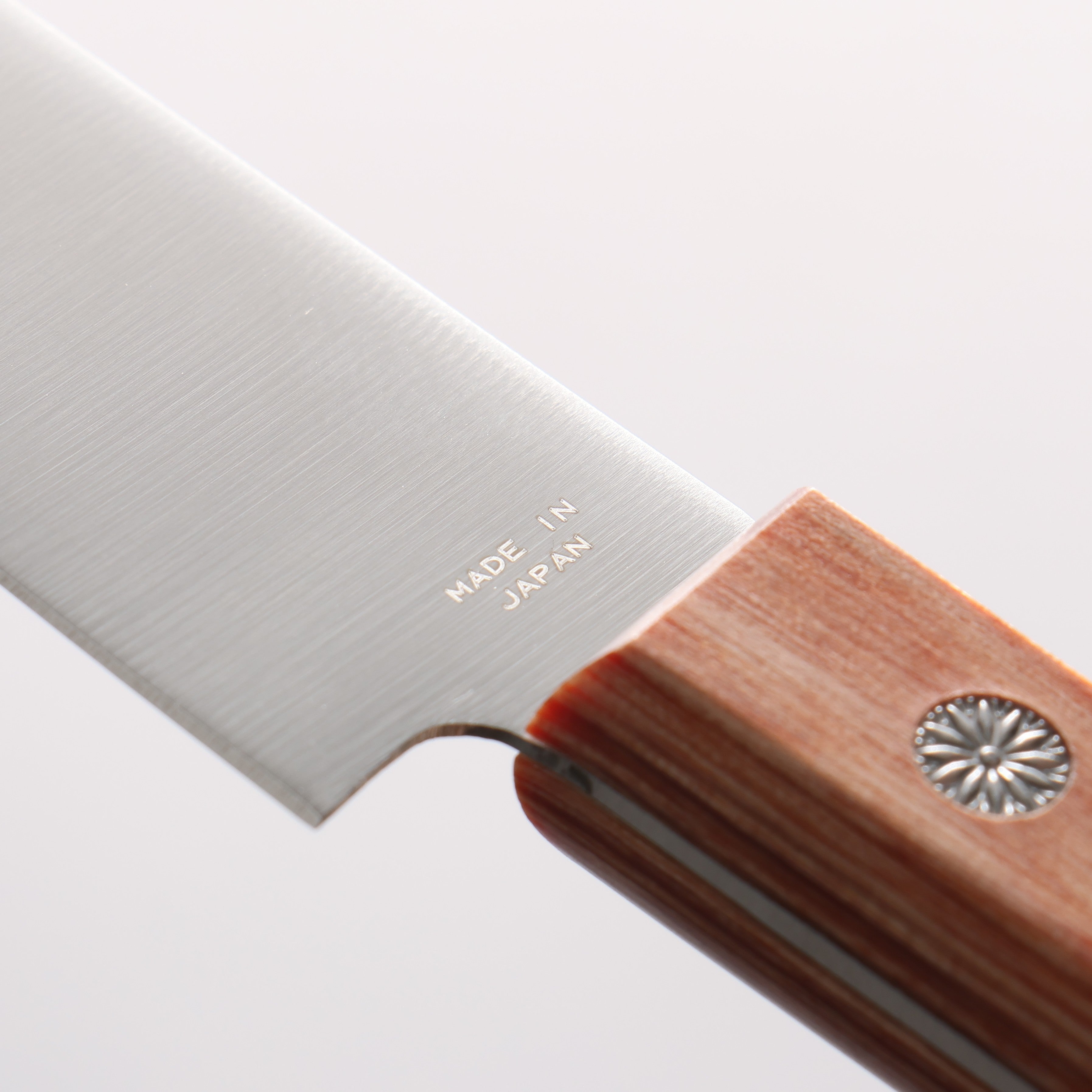 兼常 DSR-1K6 多用途小刀 120mm 合成木 握把 - 清助刃物