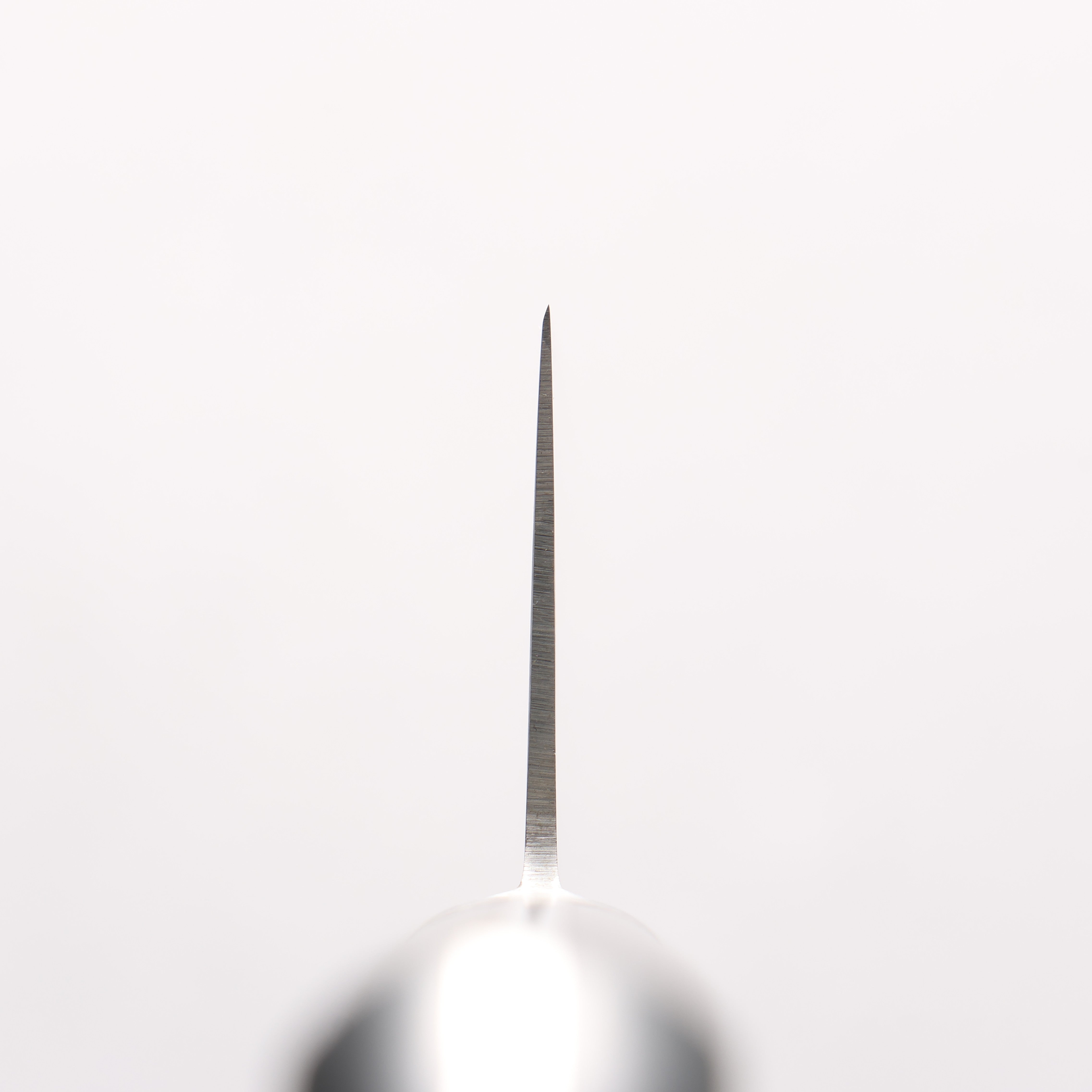 Misono 瑞典鋼 刻有梅的圖樣 牛刀 210mm - 清助刃物