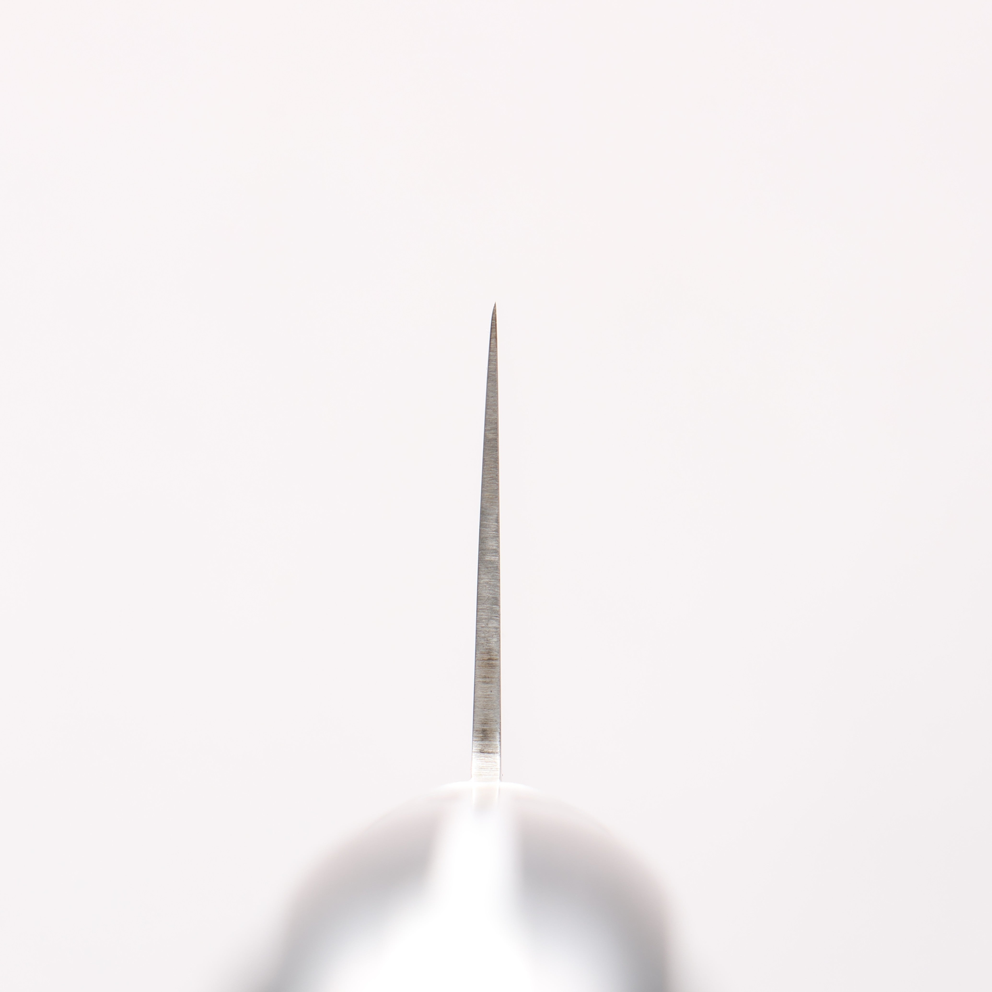 Misono 440 鉬鋼(MOL) 筋引 240mm - 清助刃物