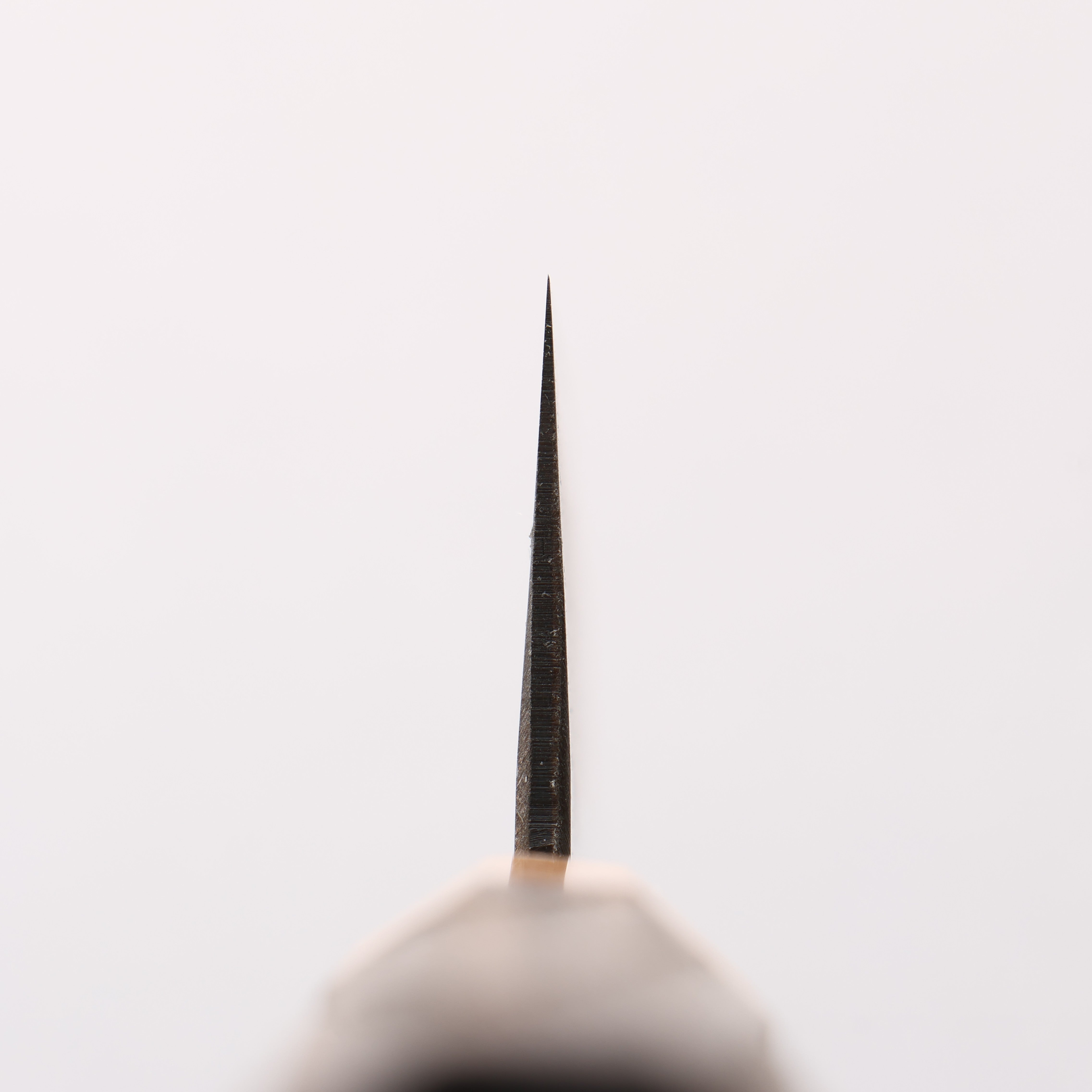 清助 青鋼二號 黑打 切付牛刀 240mm 燒栗木(口輪:櫻花木) 握把 - 清助刃物