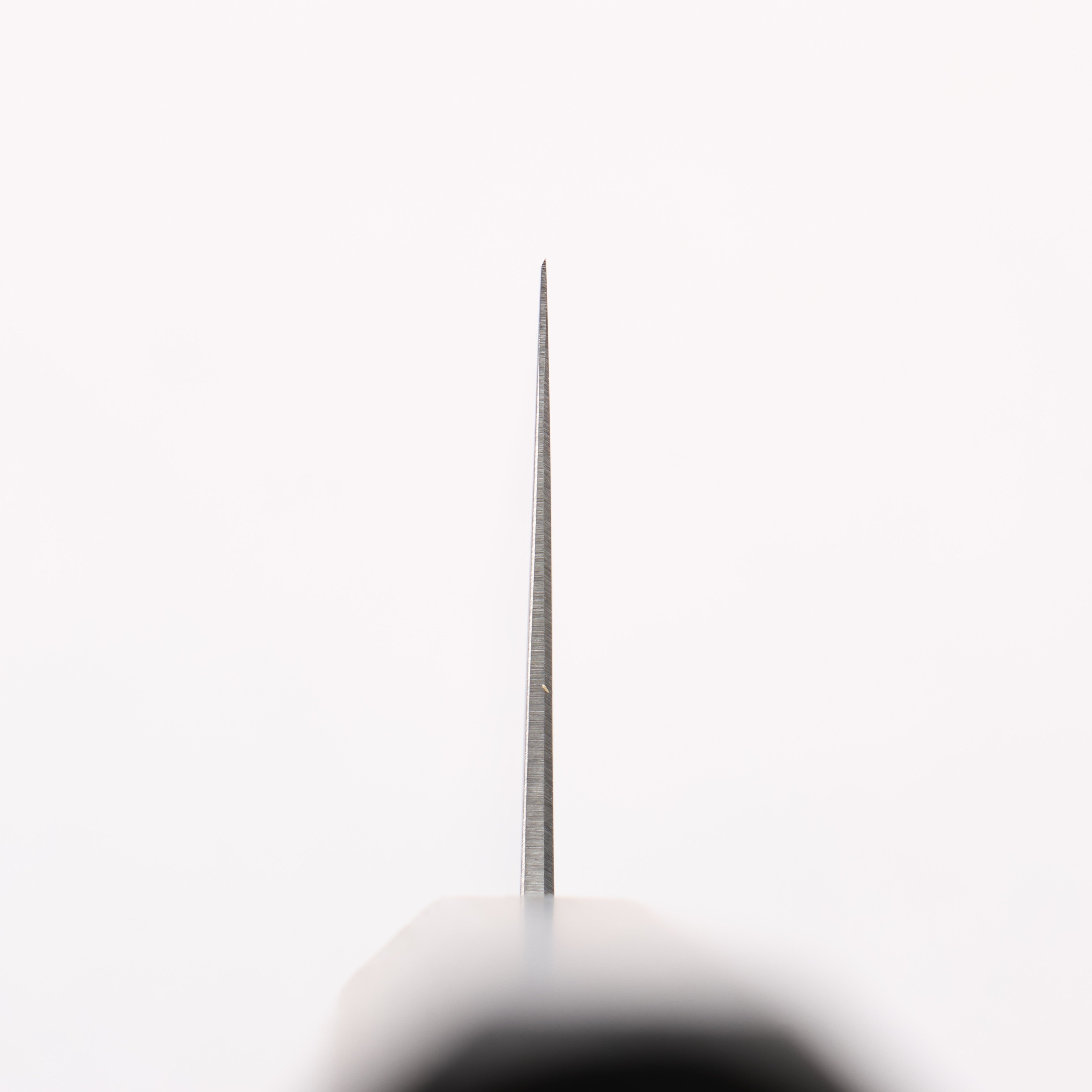 清助 SK-4鋼 牛刀 240mm 燒櫟木漆塗 握把 - 清助刃物