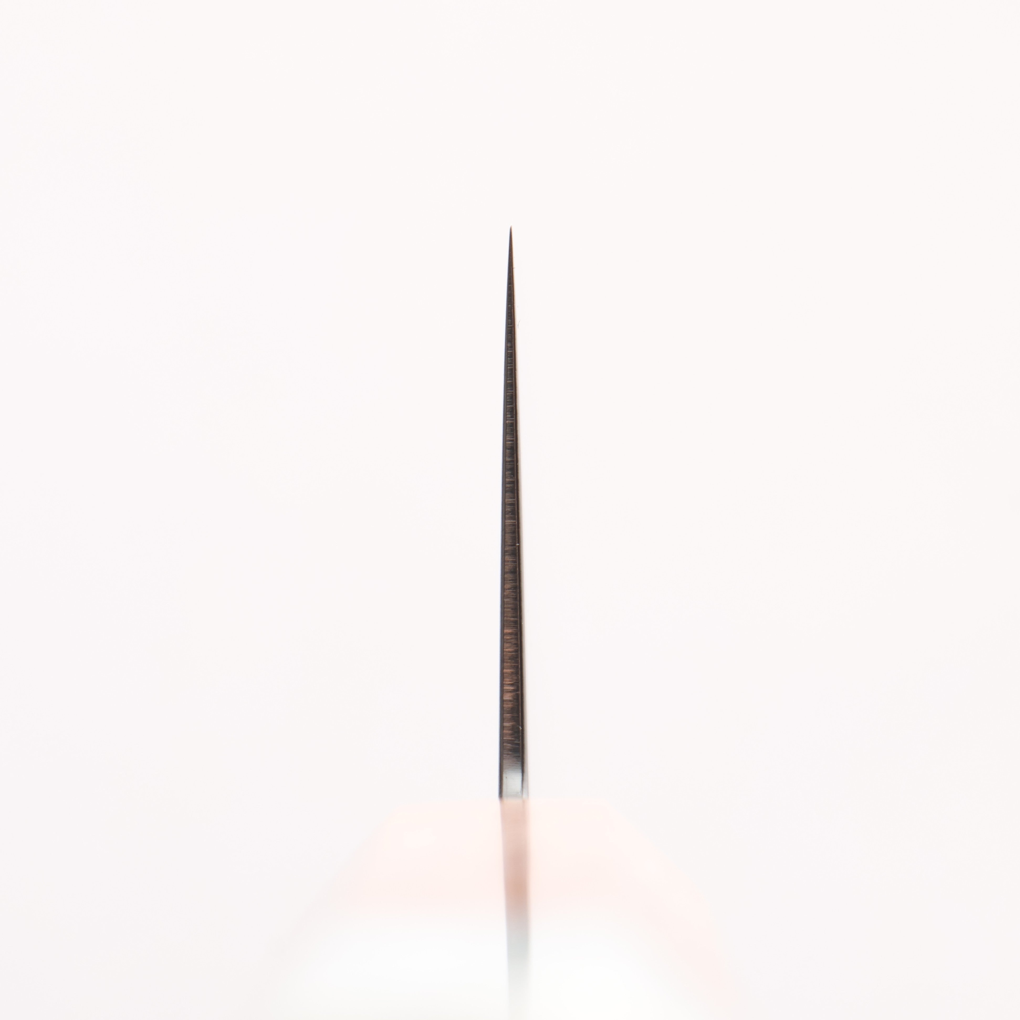 清助 VG10 大馬士革紋 切付牛刀 210mm 楓木/白色樹脂 握把 - 清助刃物