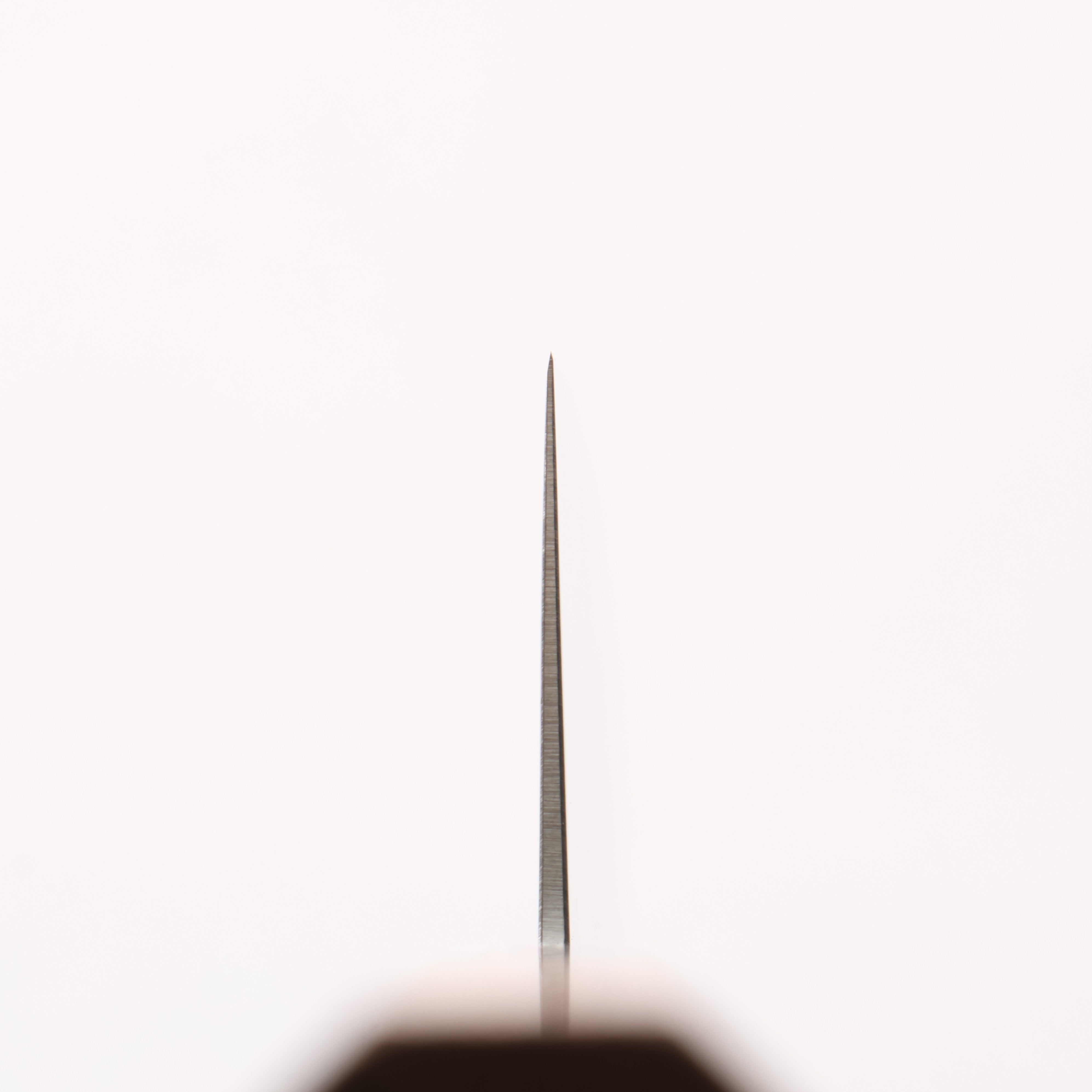 清助 不鏽鋼 菜切 160mm 柚木 (口輪:黑塑膠) 握把 - 清助刃物