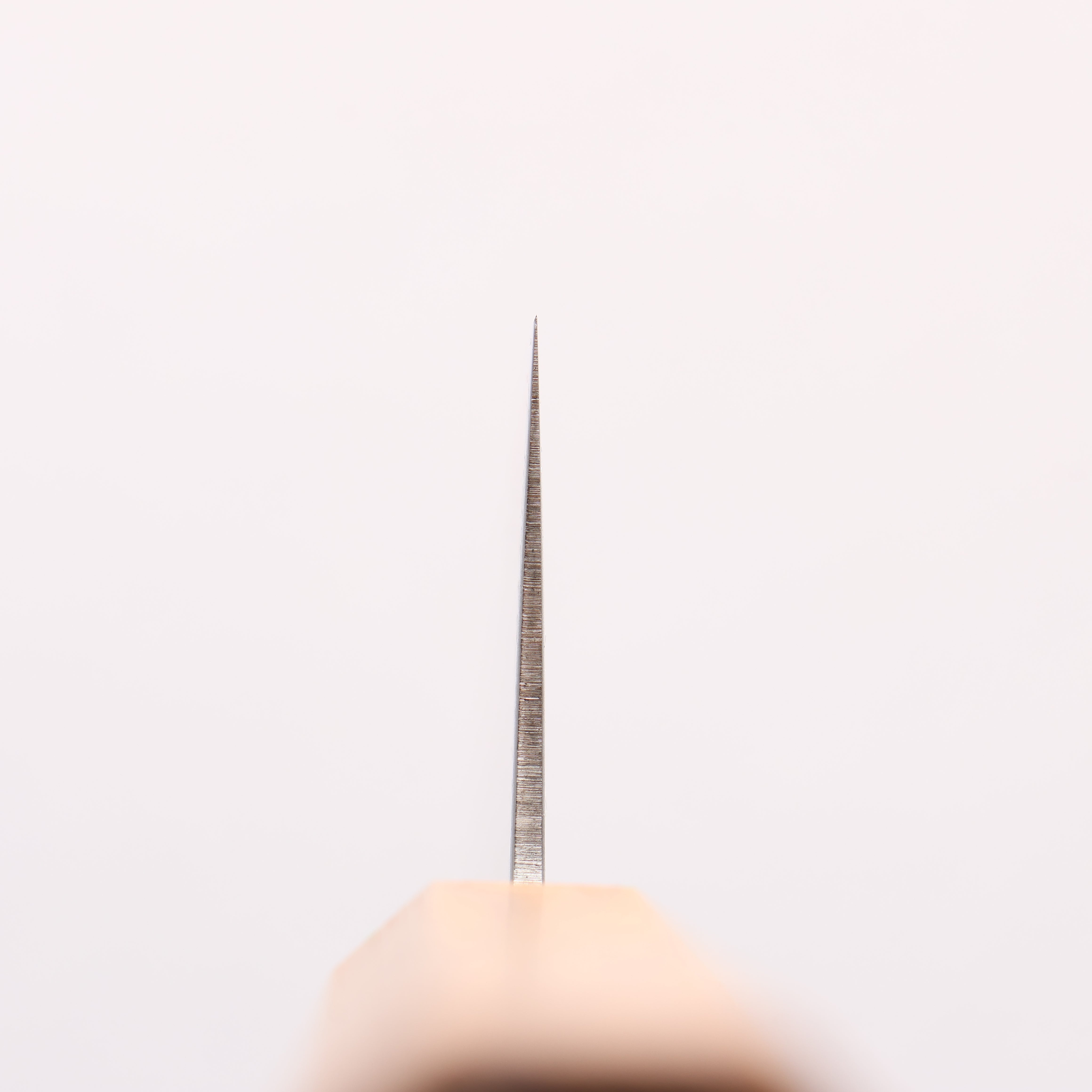 清助 ZA-18 鏡面處理 大馬士革紋 牛刀 210mm 橡木 握把 - 清助刃物