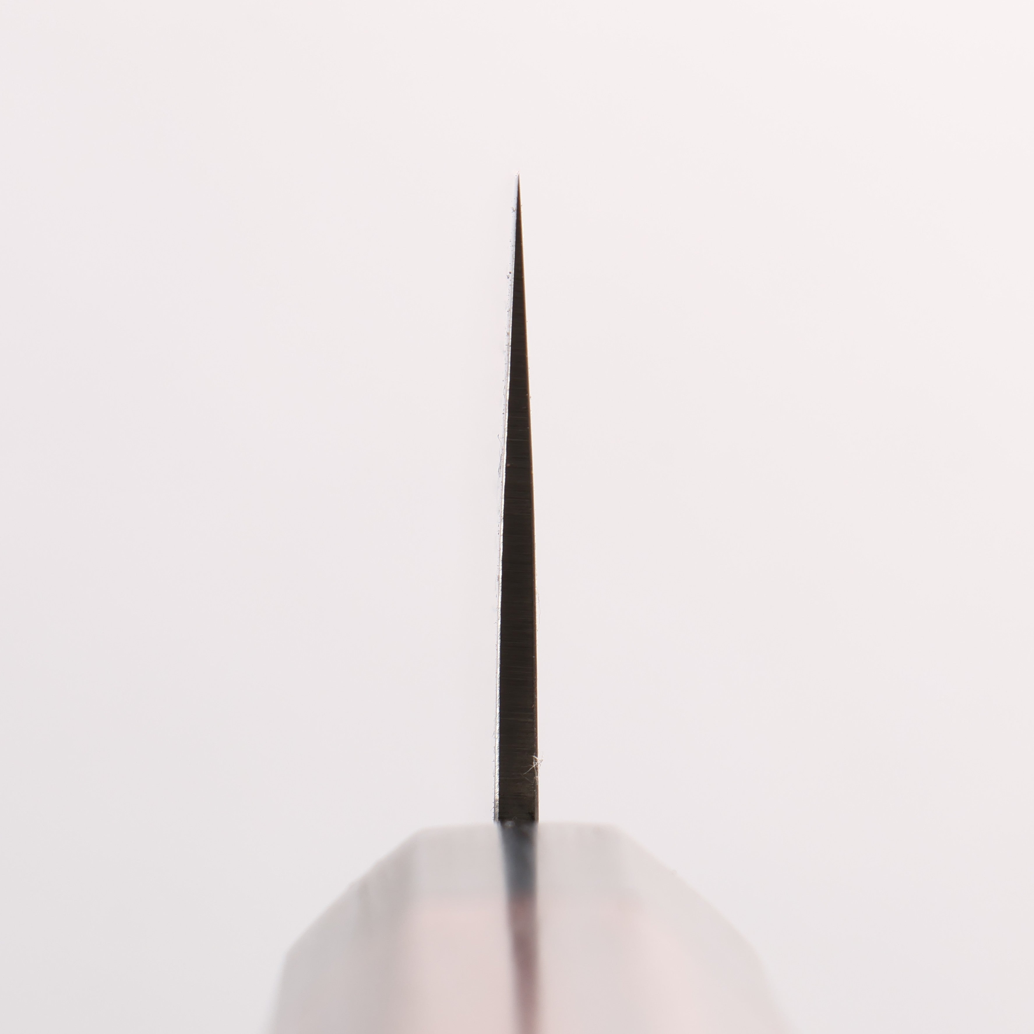清助 ZDP189 大馬士革紋 切付牛刀 210mm 紫檀木(口輪:黑合成木) 握把 - 清助刃物