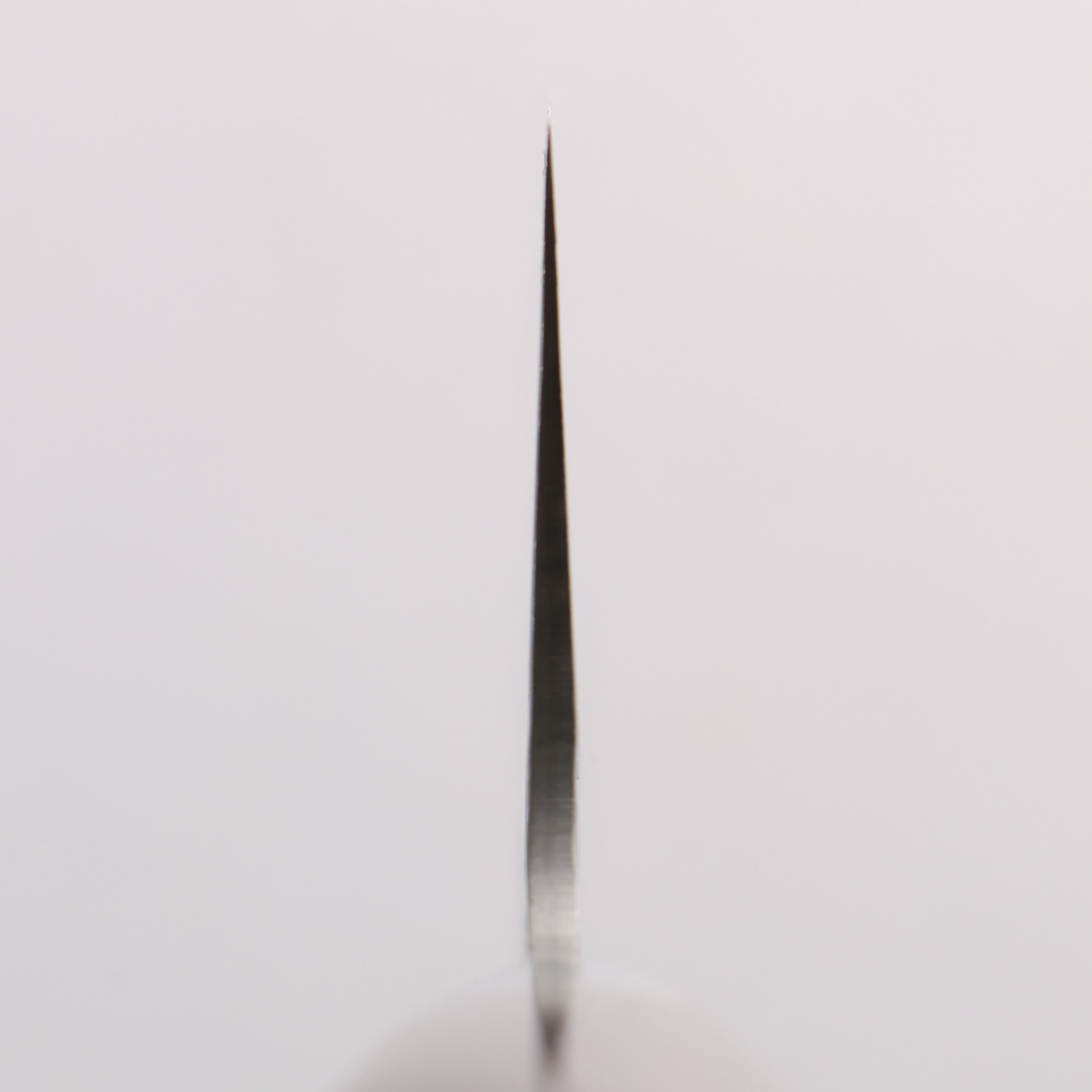 堺 孝行 SG2 鎚目 大馬士革紋 打磨處理 牛刀 210mm 紫檀木 握把