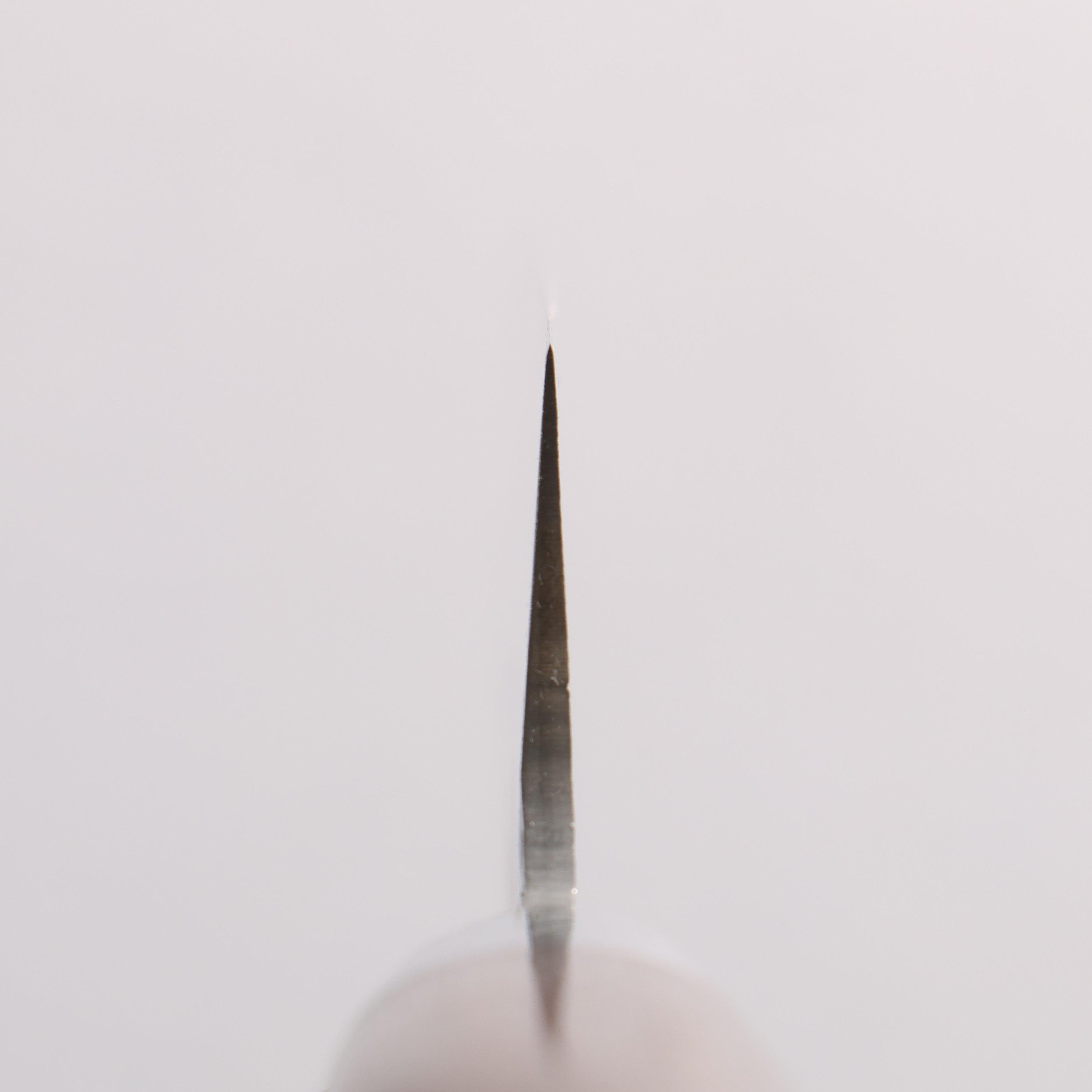 堺 孝行 SG2 鎚目 大馬士革紋 打磨處理 筋引 240mm 紫檀木 握把