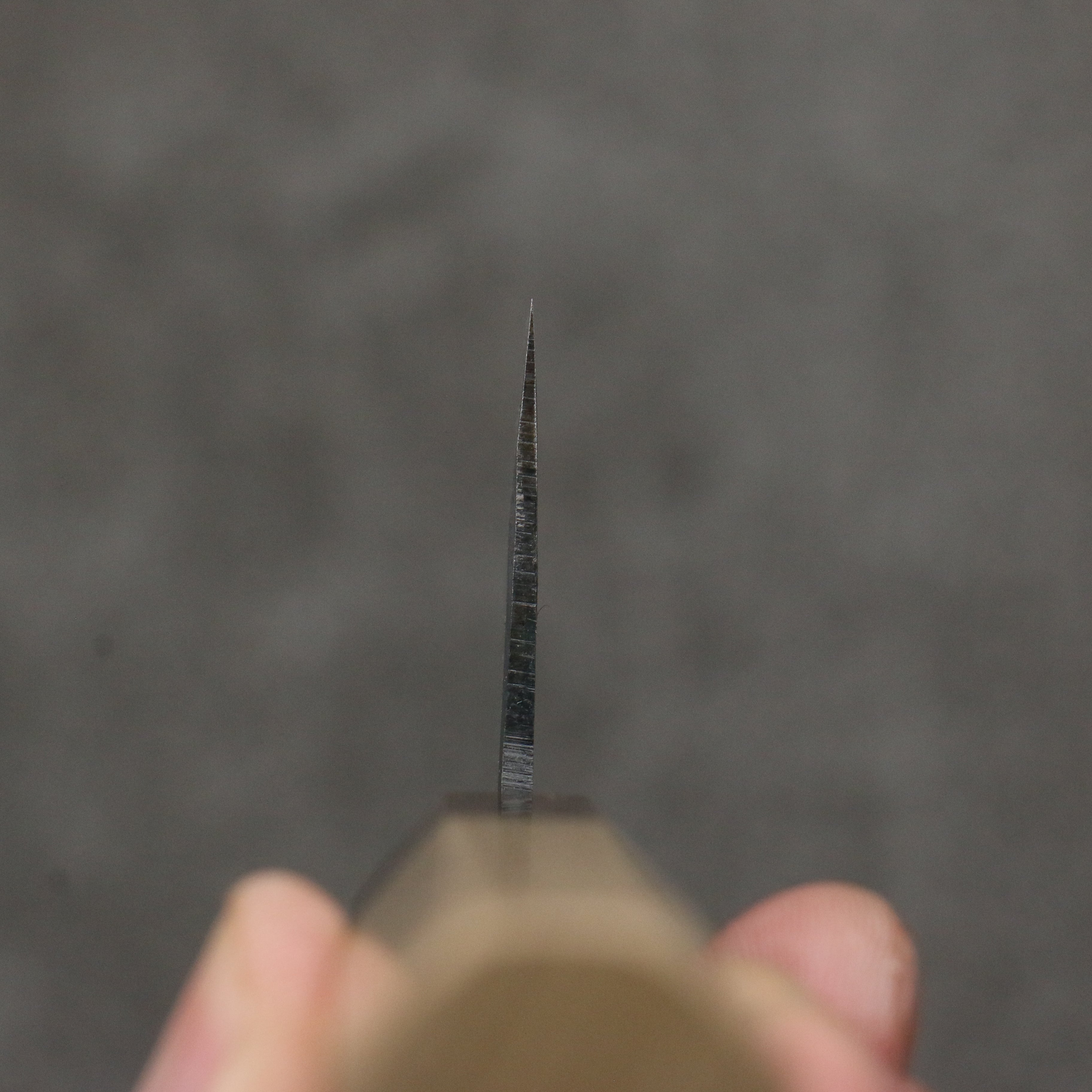 清助 青鋼一號 黑打 小文化刀 150mm 木蘭(口輪:黑檀) 握把 - 清助刃物