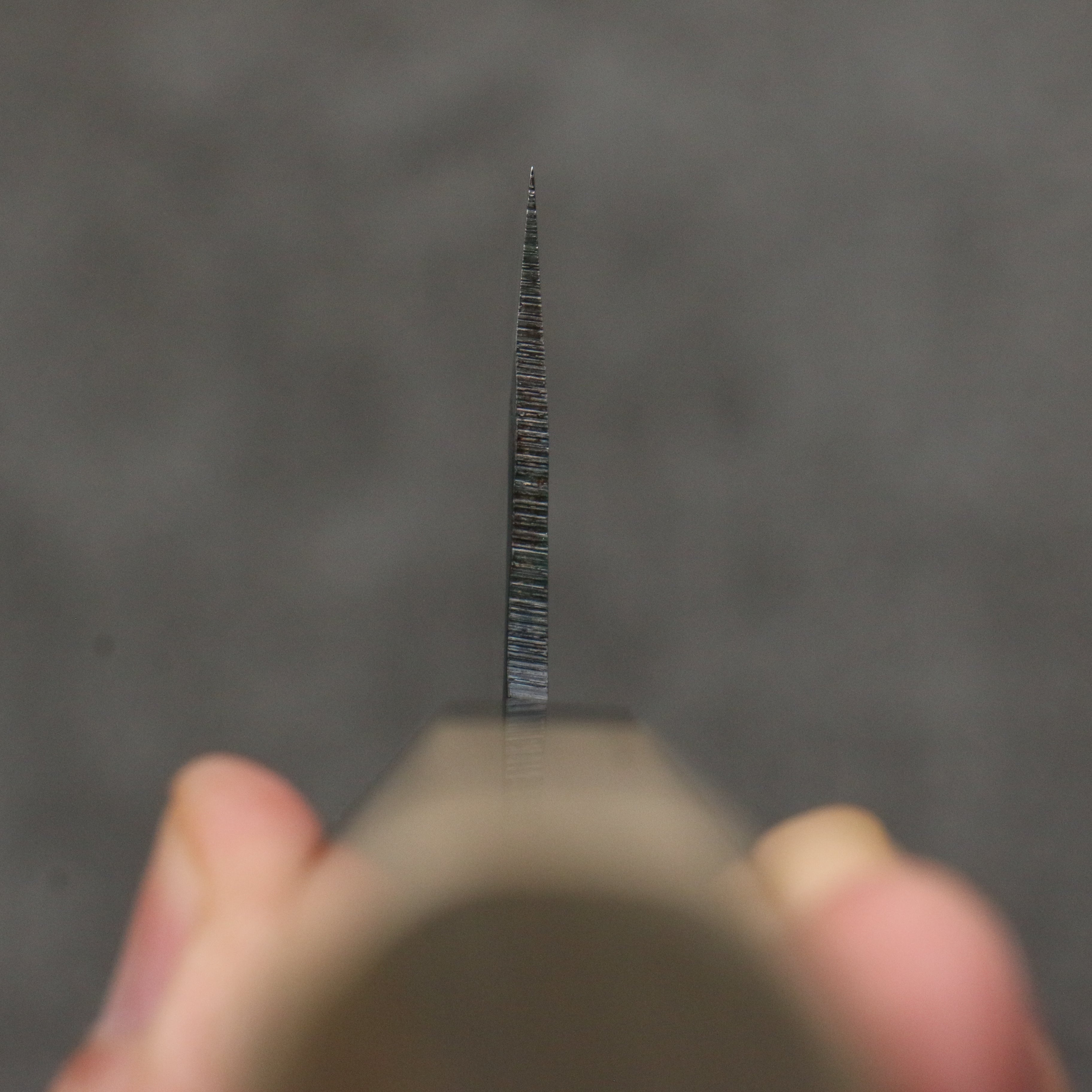 清助 超級青鋼 黑打 切付牛刀 210mm 木蘭(口輪:黑檀) 握把 - 清助刃物