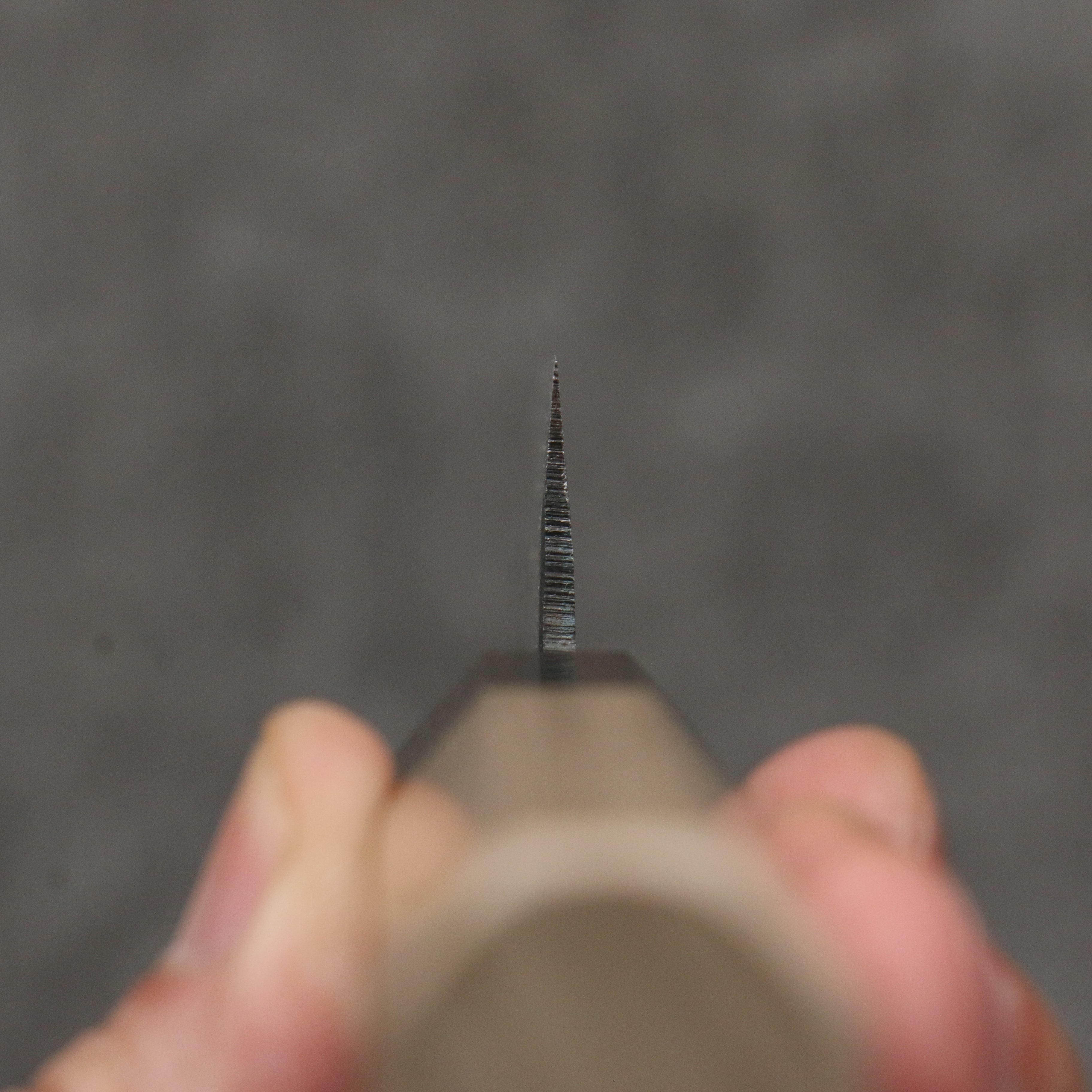 清助 青鋼一號 黑打 多用途小刀 135mm 木蘭(口輪:黑檀) 握把 - 清助刃物