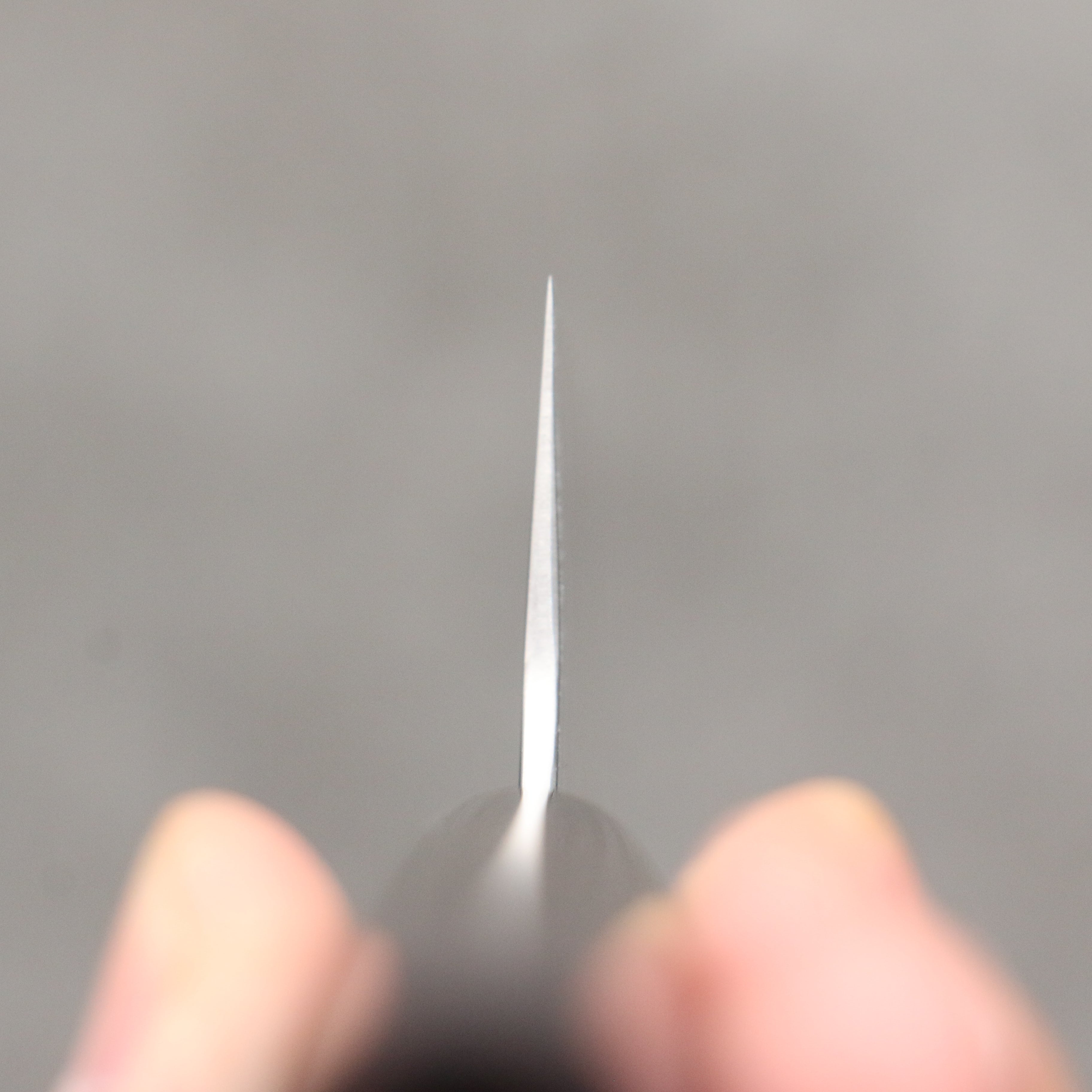 尾形 峻吾 SG2 打磨處理 筋引 240mm 紫檀木(口輪:黑合成木) 握把 - 清助刃物