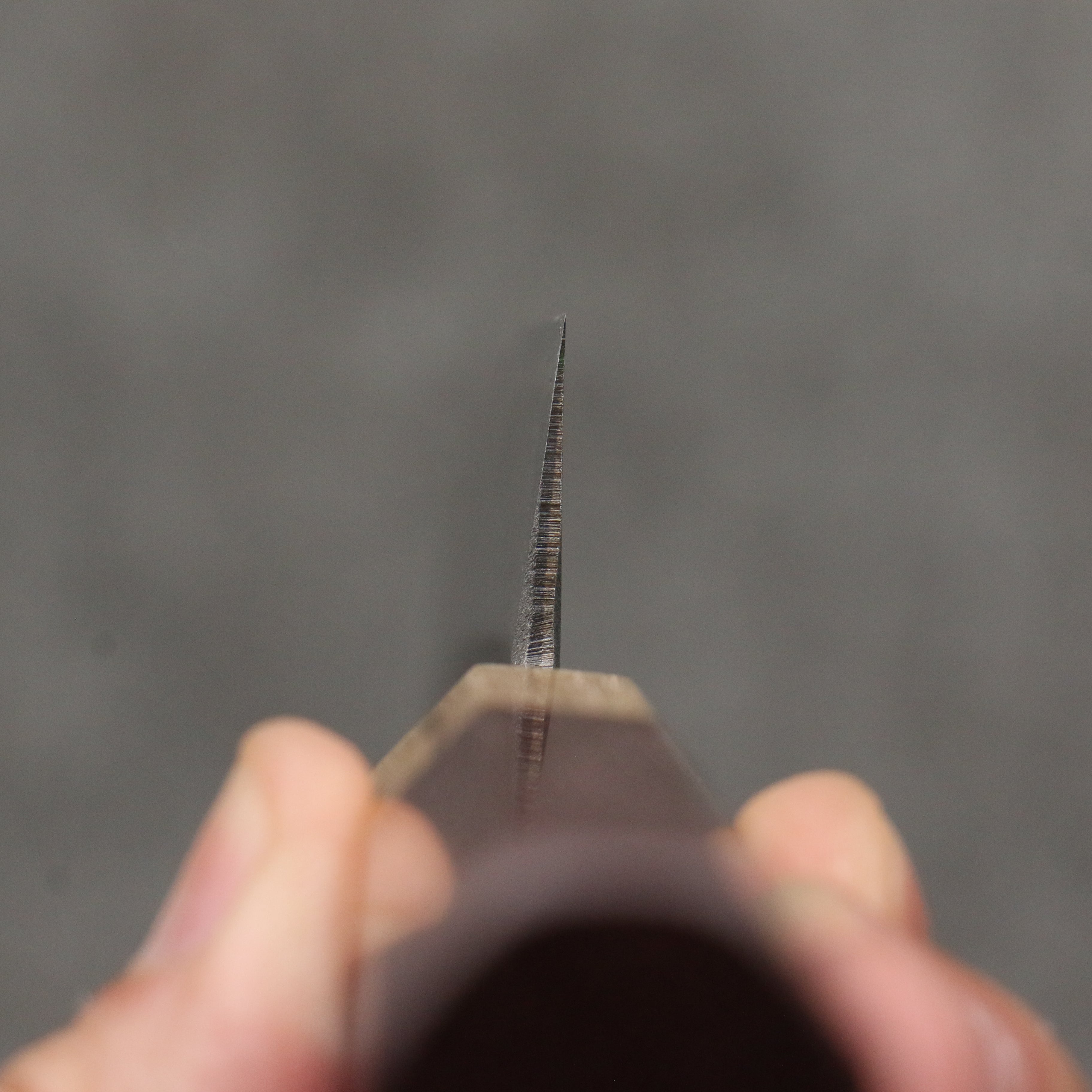 清助 青鋼二號 黑打 切付多用途小刀 150mm 紫心木(口輪:橡木) 握把 - 清助刃物