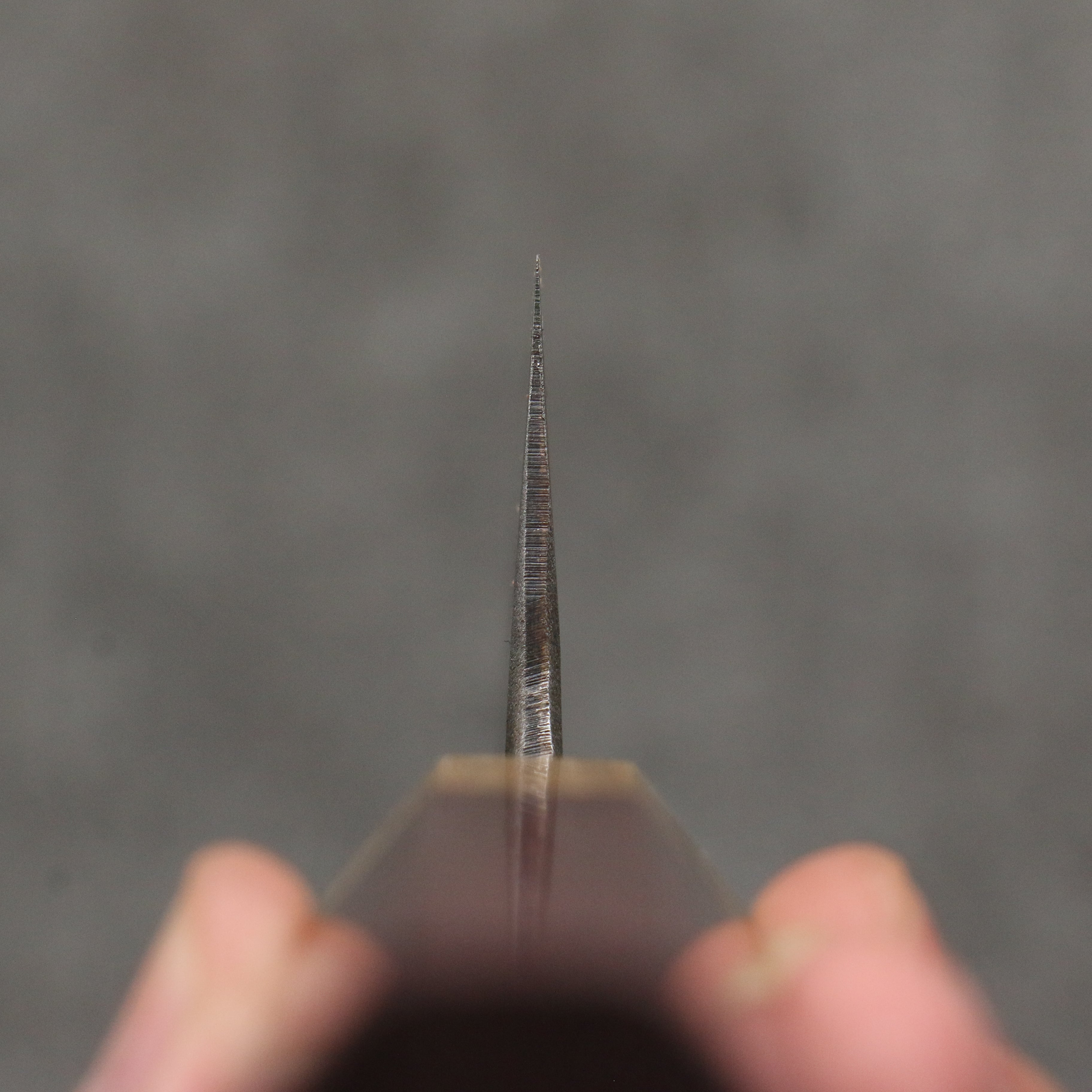 清助 青鋼二號 黑打 切付牛刀 210mm 紫心木(口輪:橡木) 握把 - 清助刃物