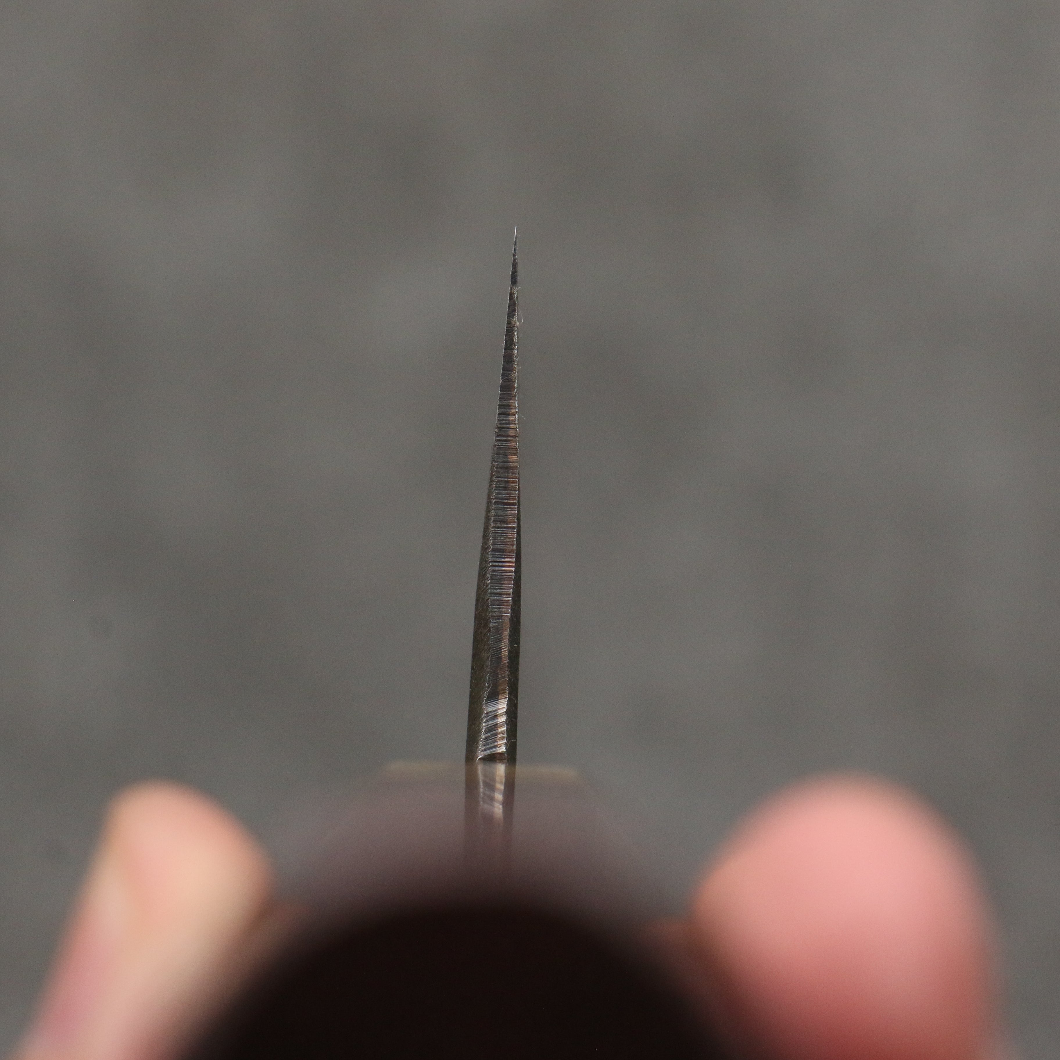 清助 青鋼二號 黑打 切付牛刀 240mm 紫心木(口輪:橡木) 握把 - 清助刃物