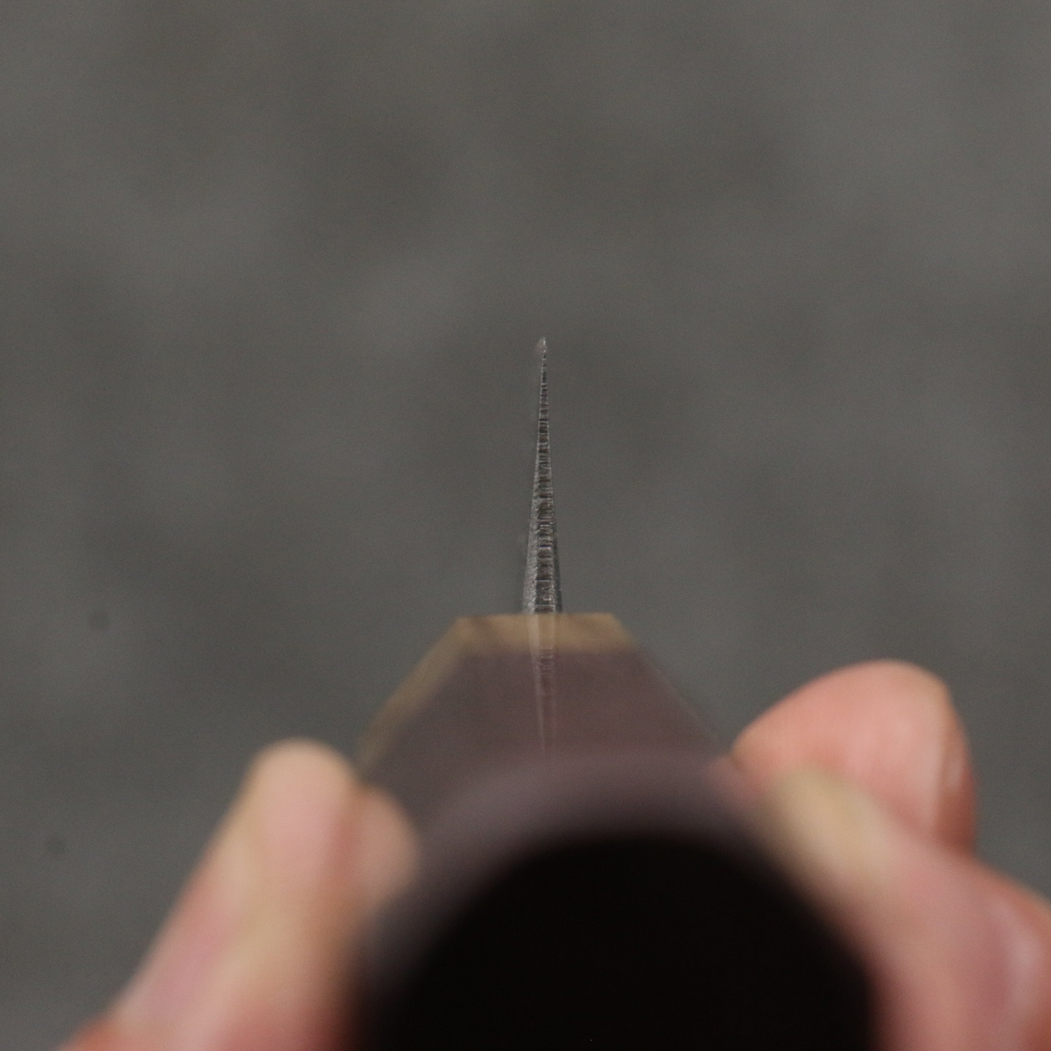 清助 青鋼二號 黑打 切付多用途小刀 120mm 紫心木(口輪:橡木) 握把 - 清助刃物