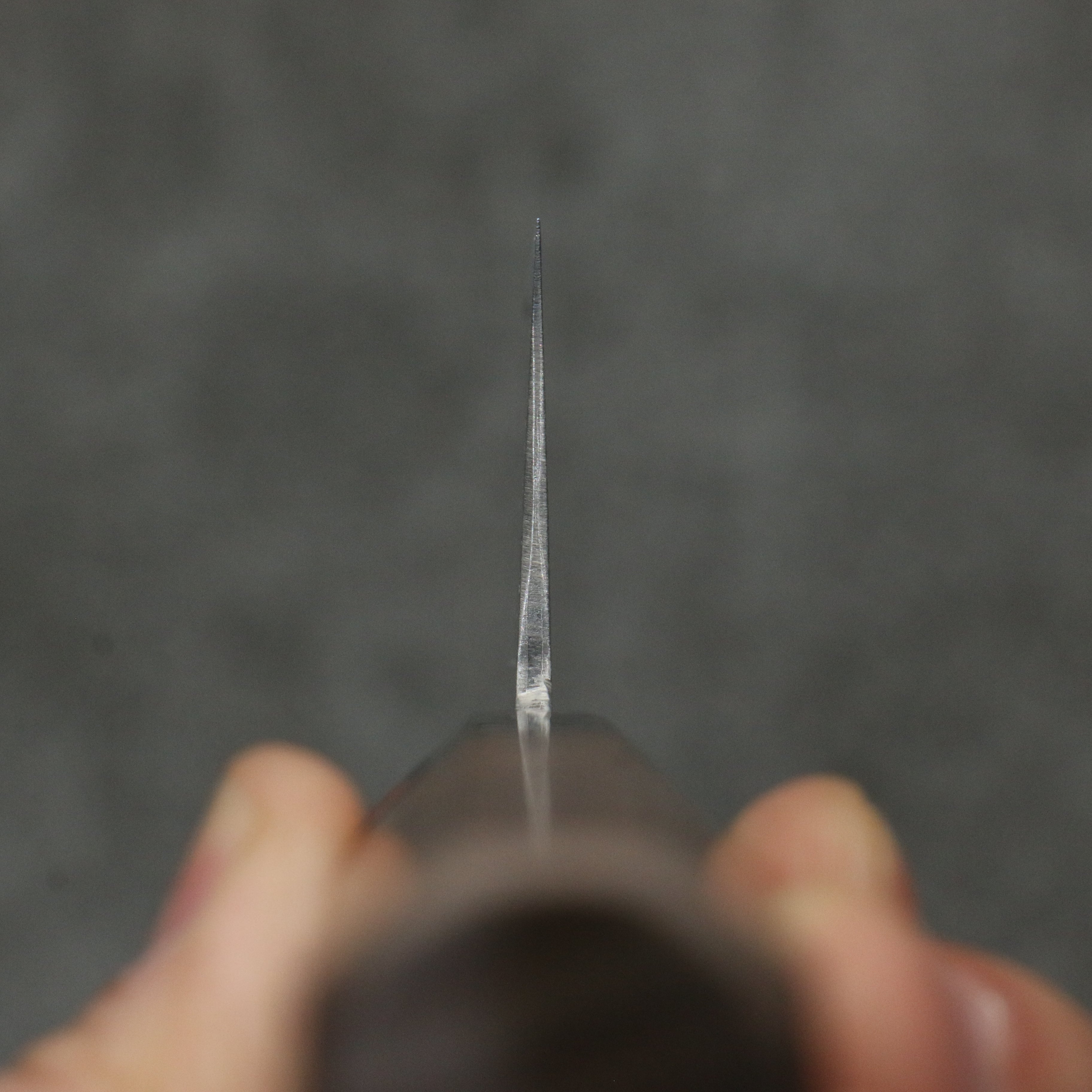 田中 誠貴 春風 SG2 大馬士革紋 三德刀 165mm 核桃木 握把 - 清助刃物